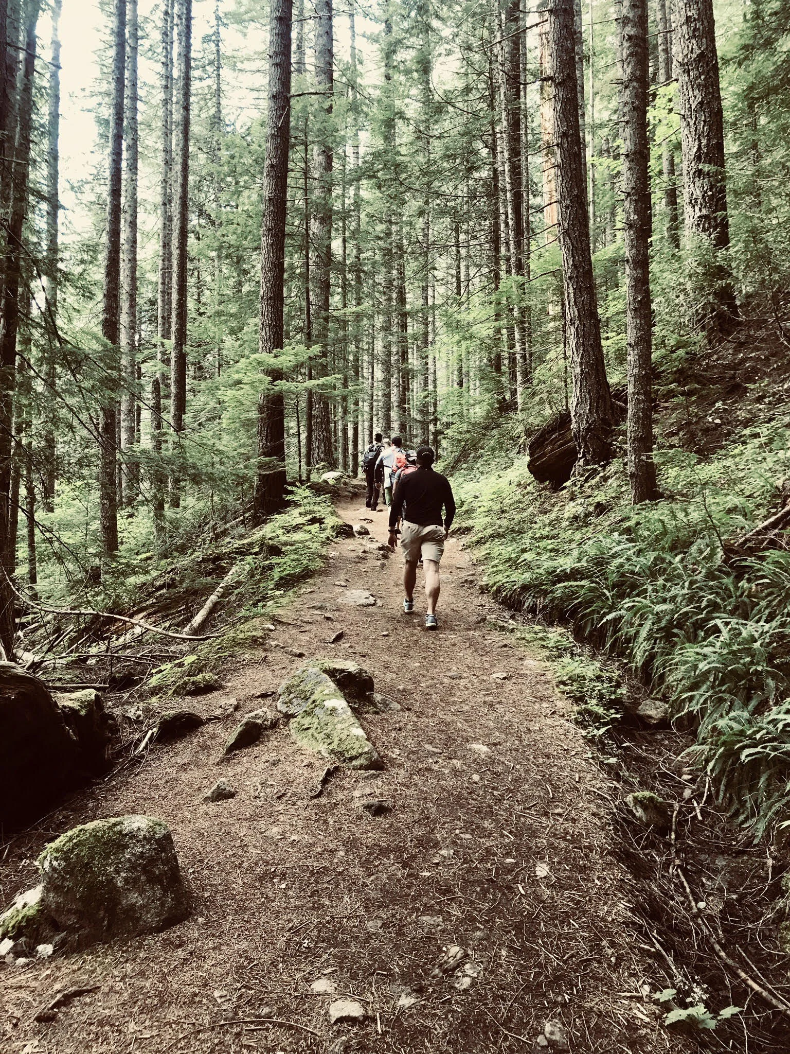 4 Quotes That Steer My Approach to Life Right Now