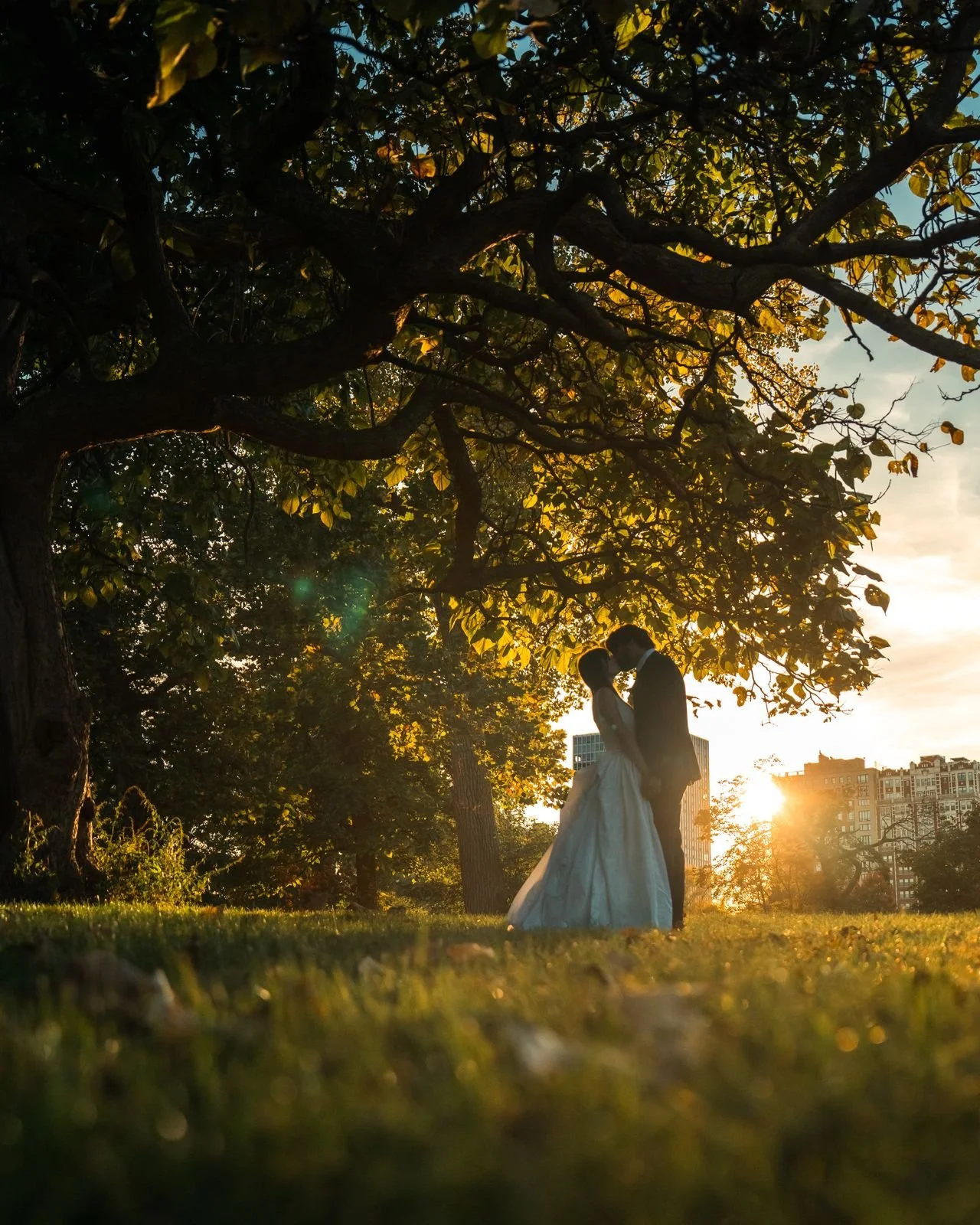 Best Neighborhoods in Denver for Intimate Wedding Ceremonies