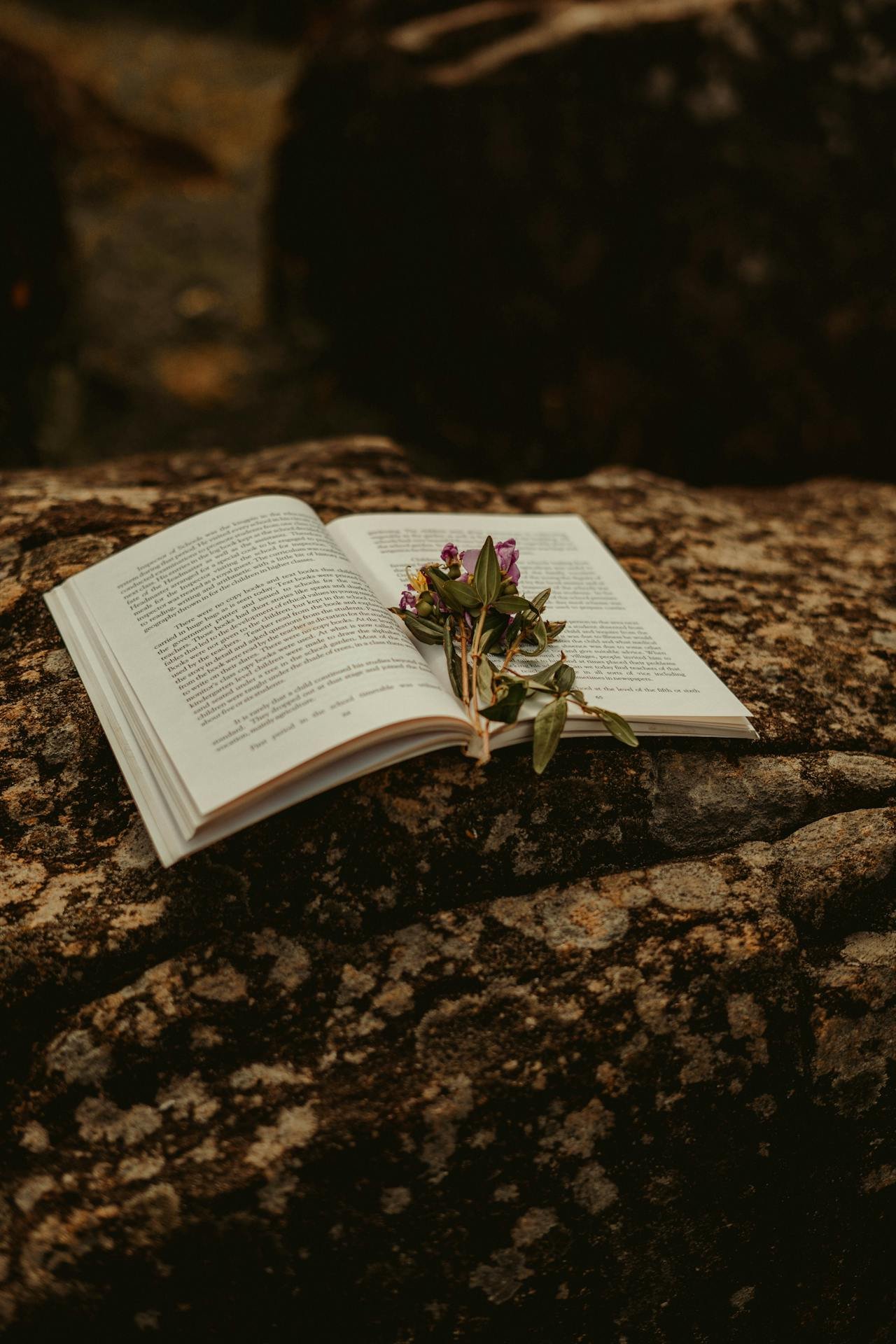 Wedding Ceremony Readings