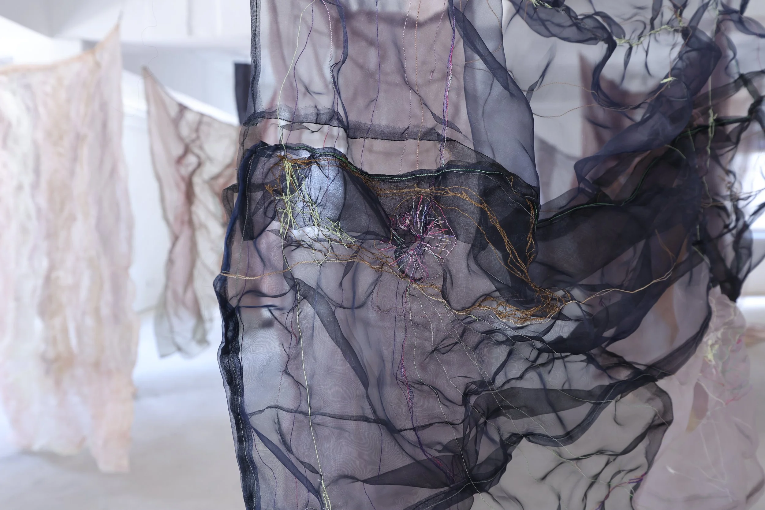  Some figures emerge only in brightness, while others appear only in darkness—emphasizing the instability between visibility and invisibility. 