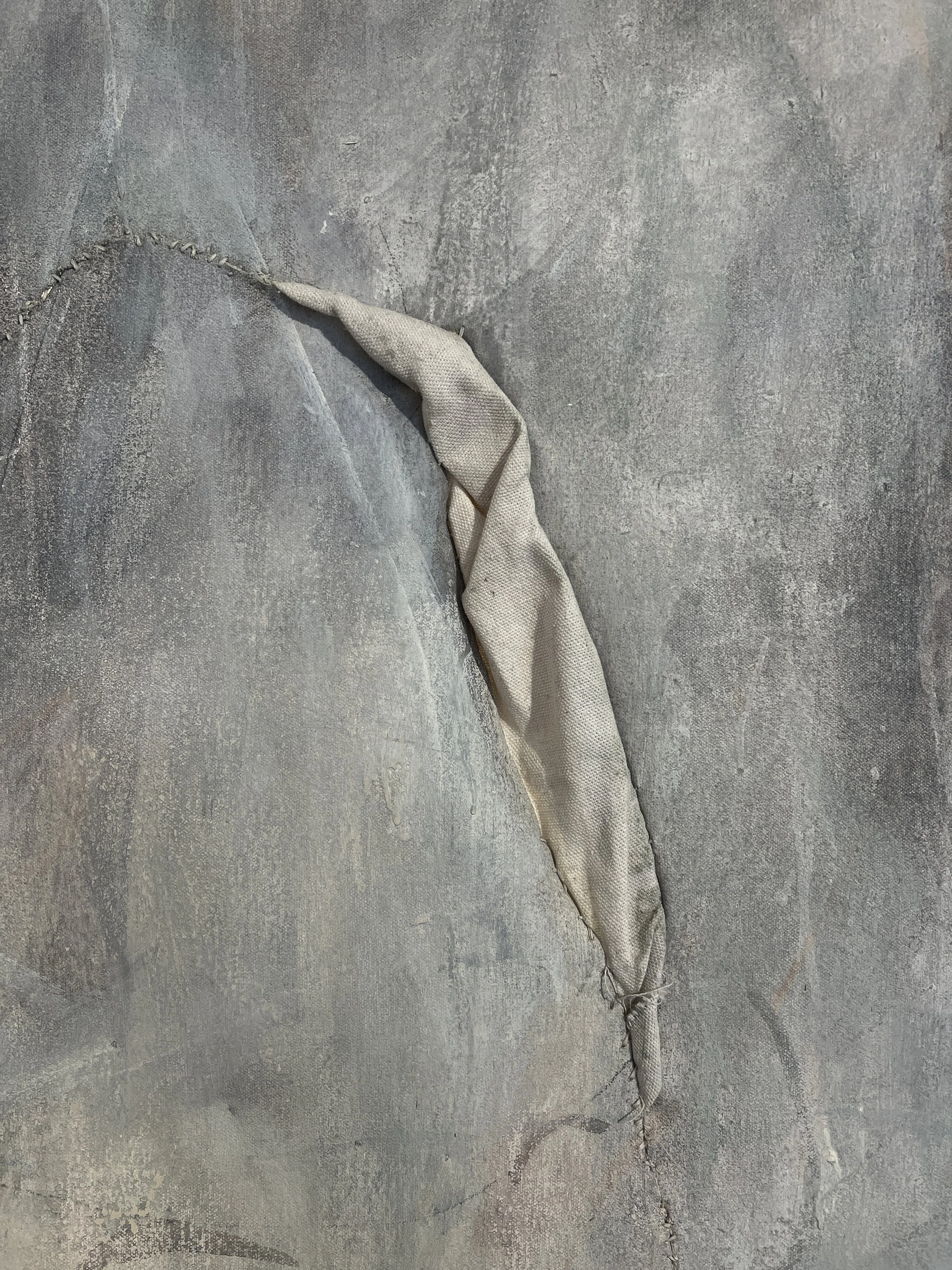 Sniff Detail,2023, Acrylic, graphite and sewing on sewn canvas, 44” x 40”.JPG