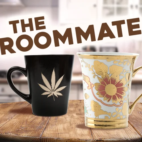 The Roommate