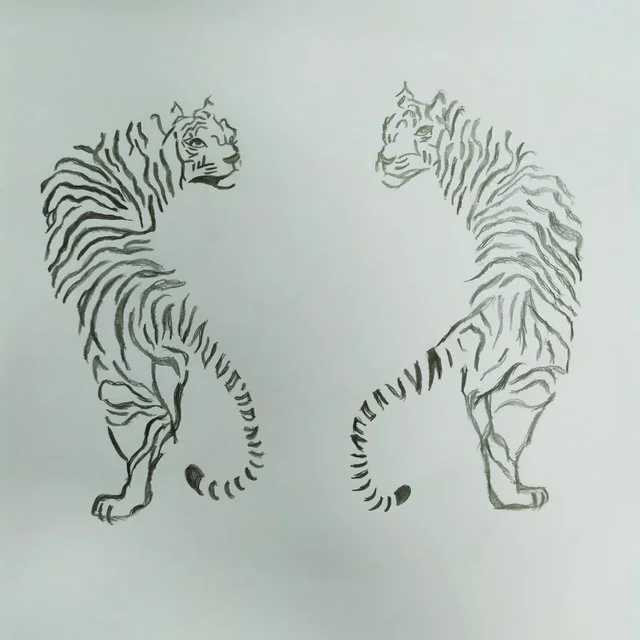 dream tigers