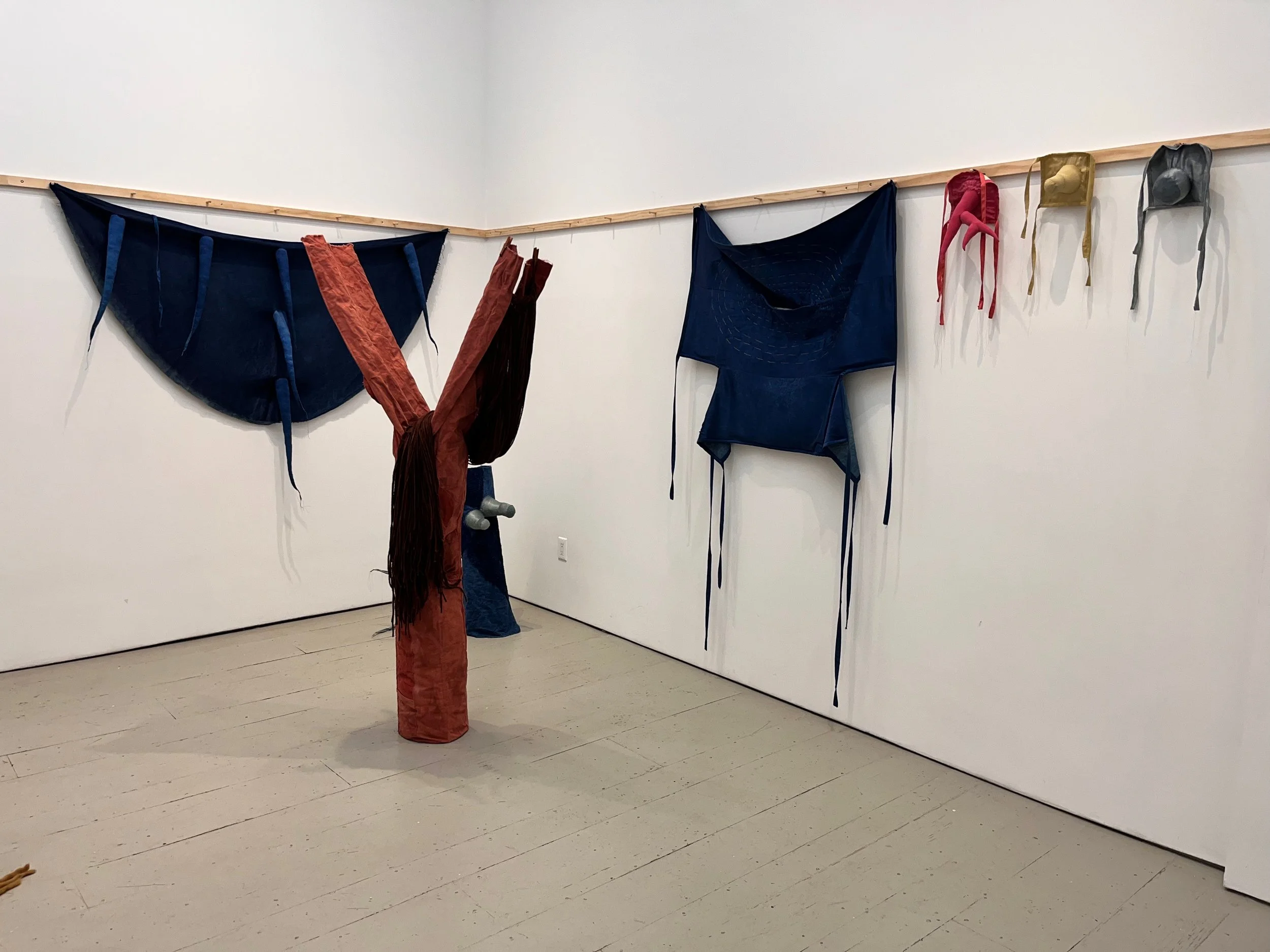 Horns, Holes, Skins, and Branches installation shot, Klaus von Nichtssagend Gallery.