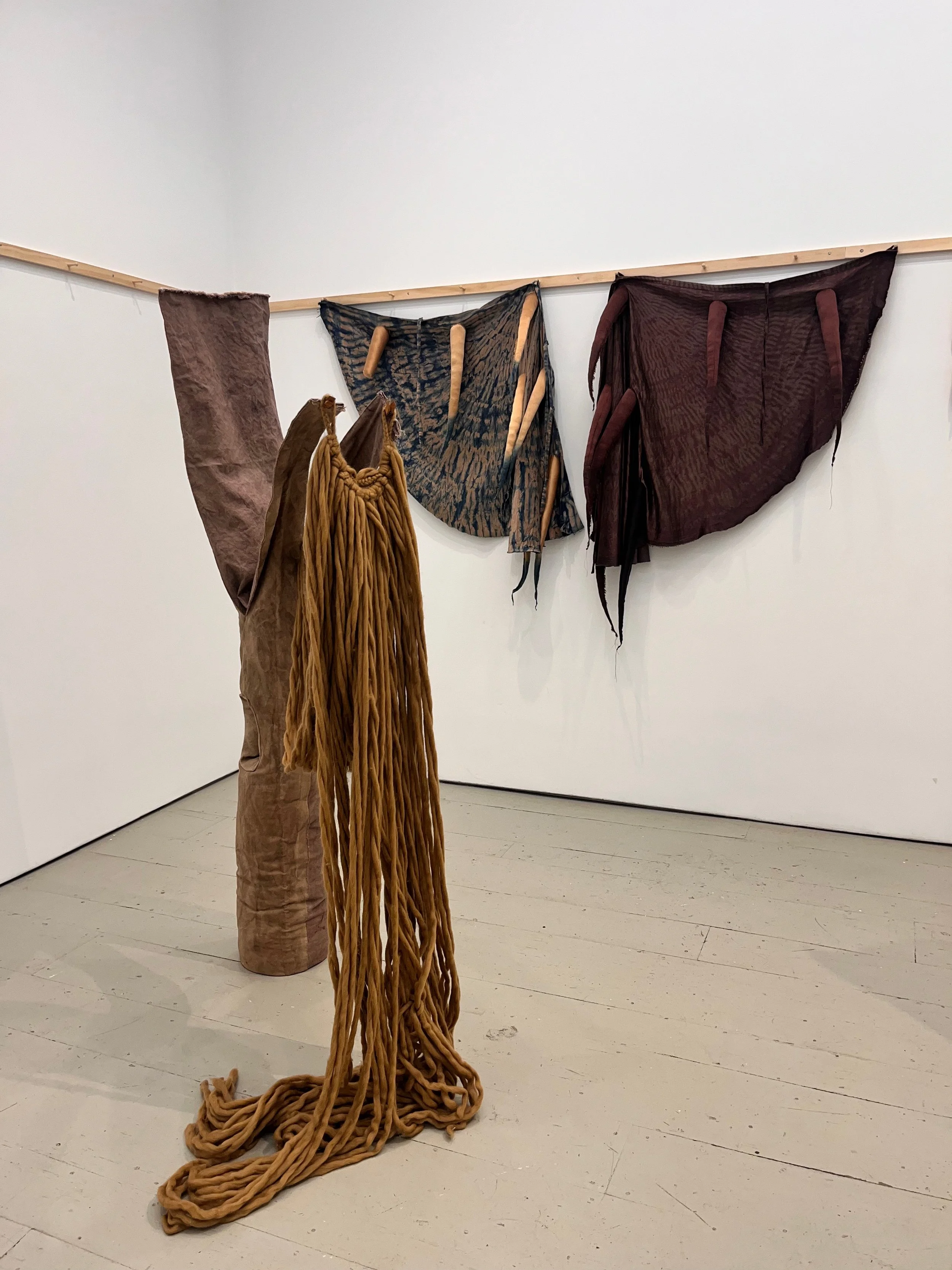 Horns, Holes, Skins, and Branches installation shot, Klaus von Nichtssagend Gallery.