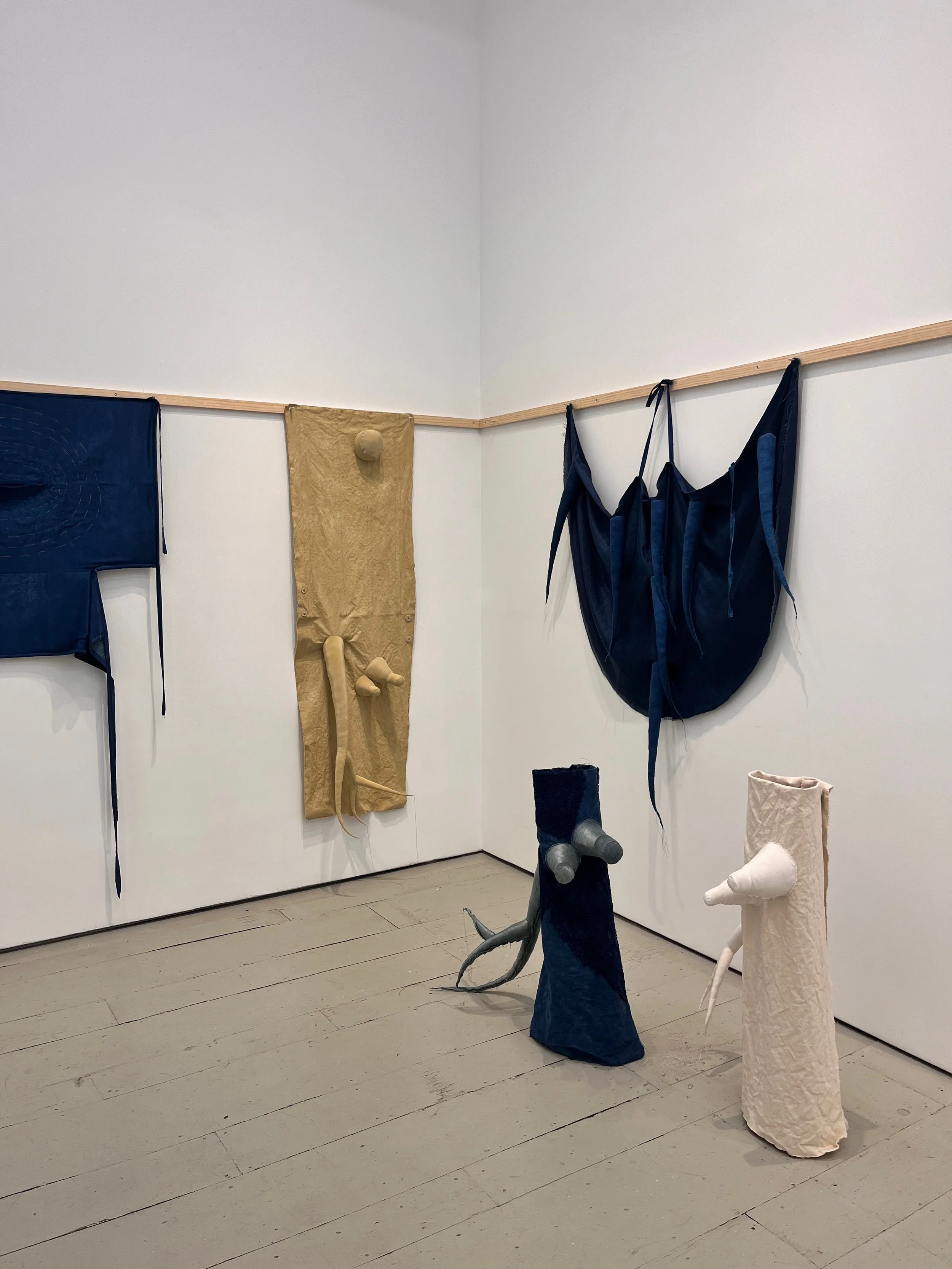 Horns, Holes, Skins, and Branches installation shot, Klaus von Nichtssagend Gallery.
