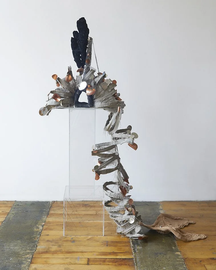 JoyCurtis_03_2.sm.jpg
