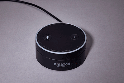 Voice activated virtual assistant