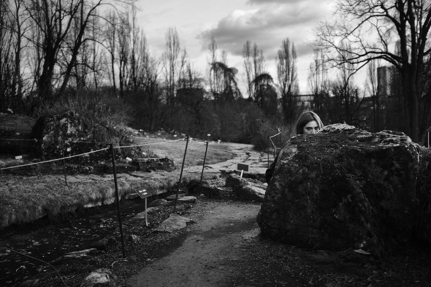 the botanical garden, oslo, 3/27/22
.
.
.
.
.

#fujiframez #fujix100f #photocinematica
#agameoftones
#artofvisuals #cinebible #moodygrams
#somewheremagazine #rentalmag #lensculture
#gominimalmag #houseoftones #snapseed
#justgoshoot #lensbible #justif