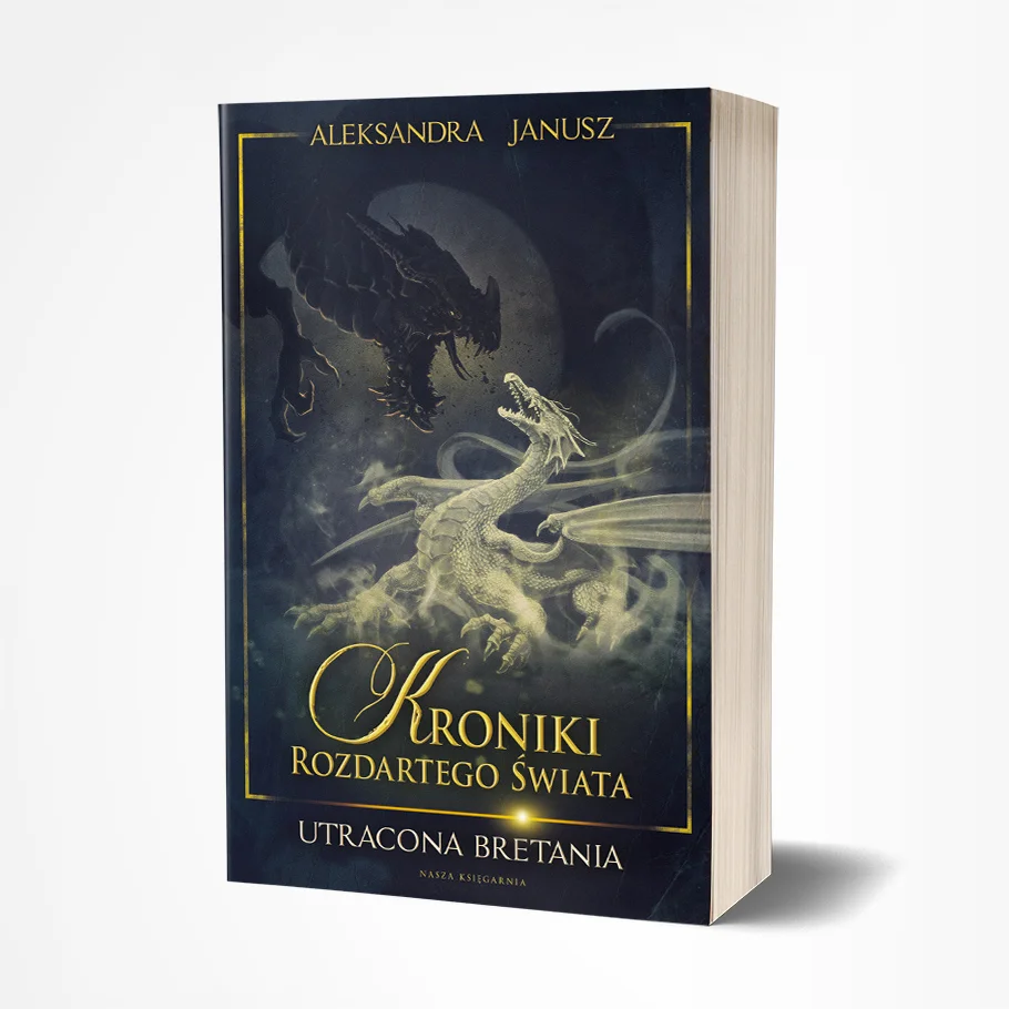 Book cover art - Fighting Dragons