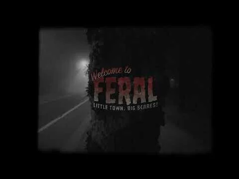 Feral at night...