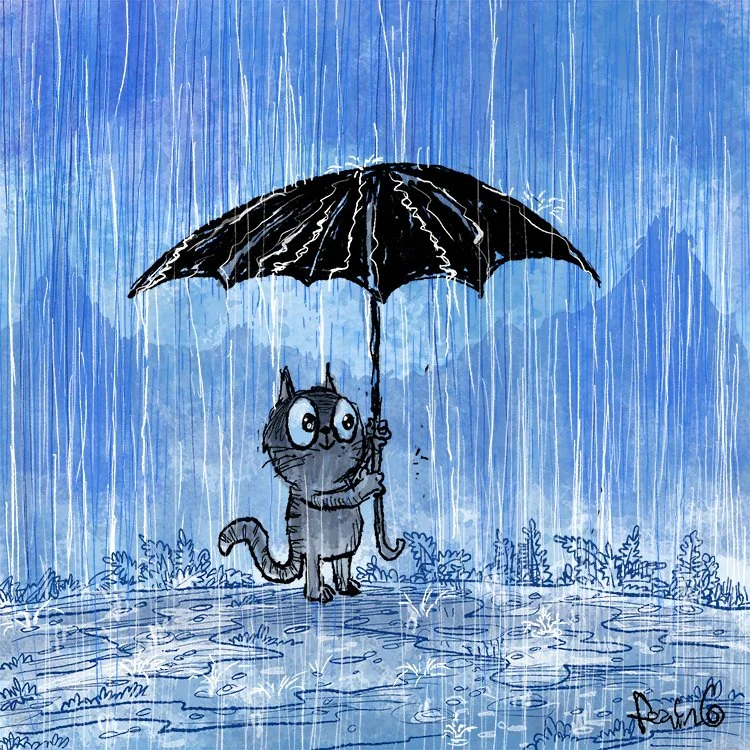 cat_rain.jpg