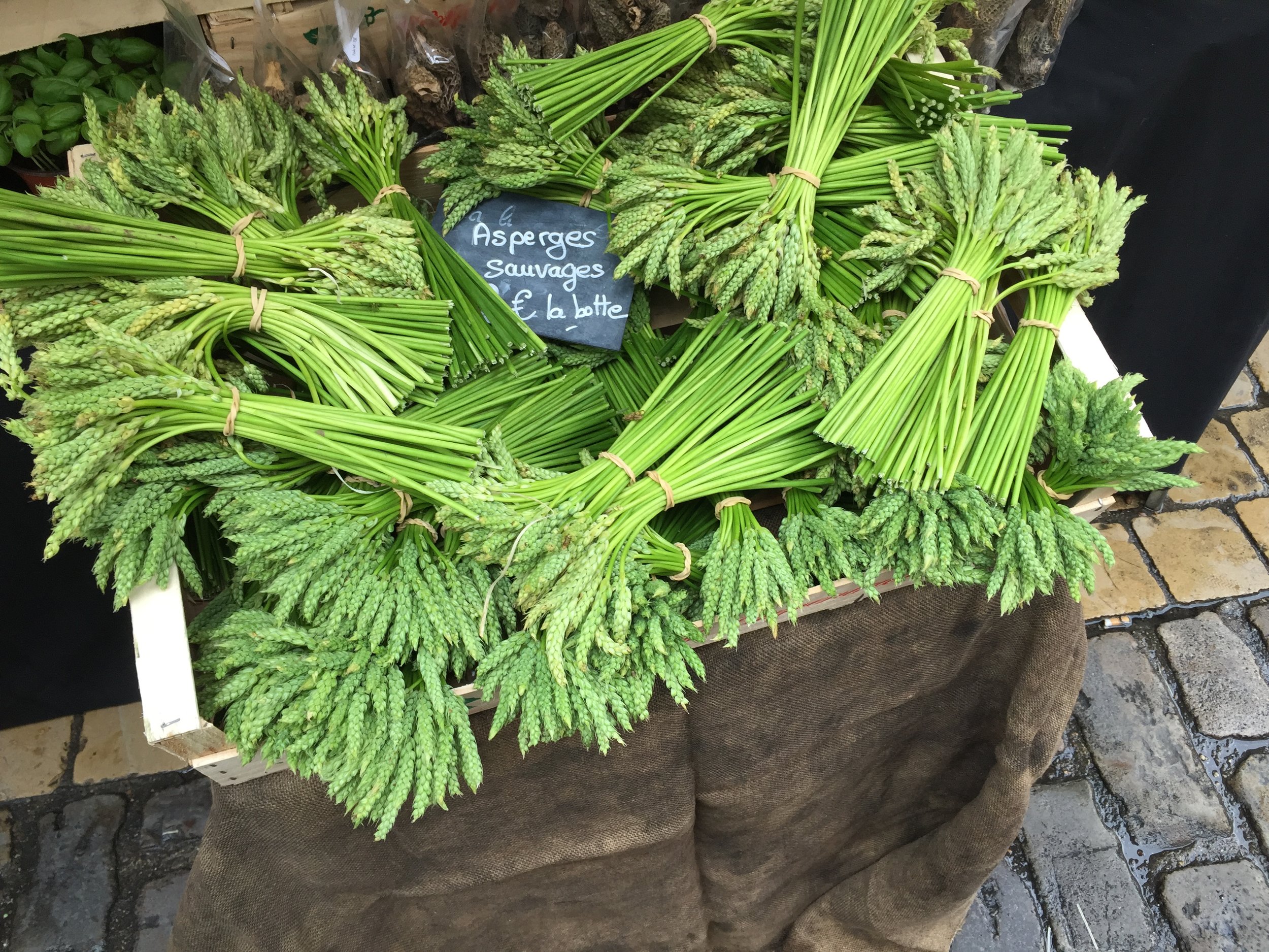 Wild Asparagus at the market in Beaune, France