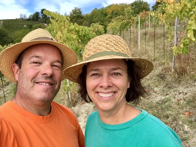 Euro Travel Coach in the vines