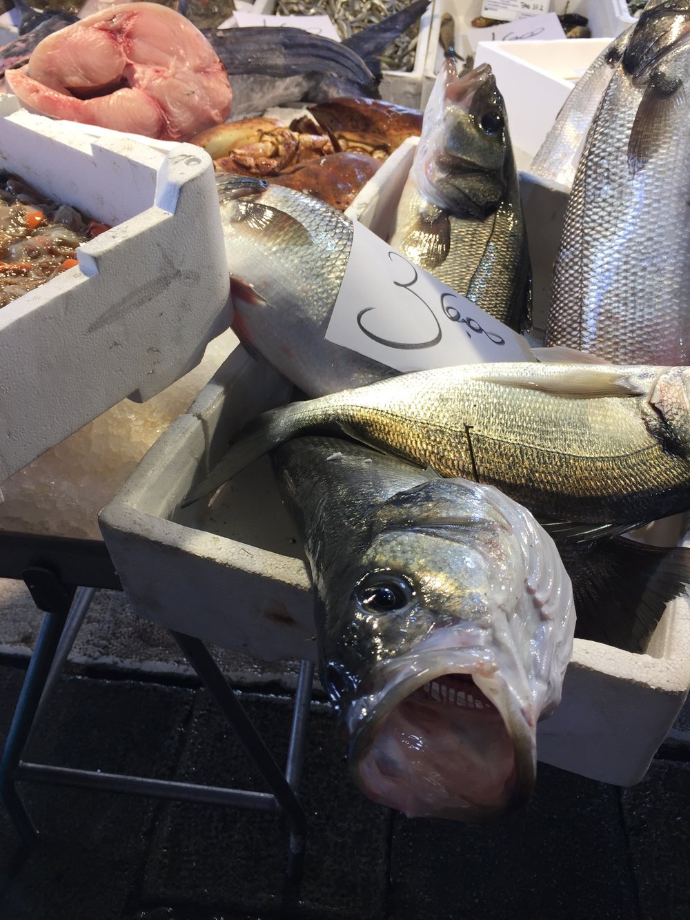 European fish market