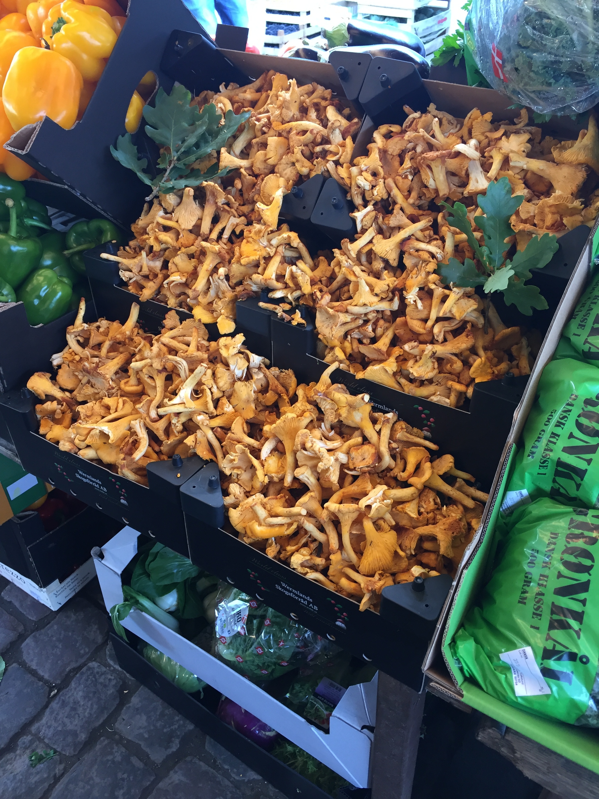 Mushrooms at a market in Copenhagen