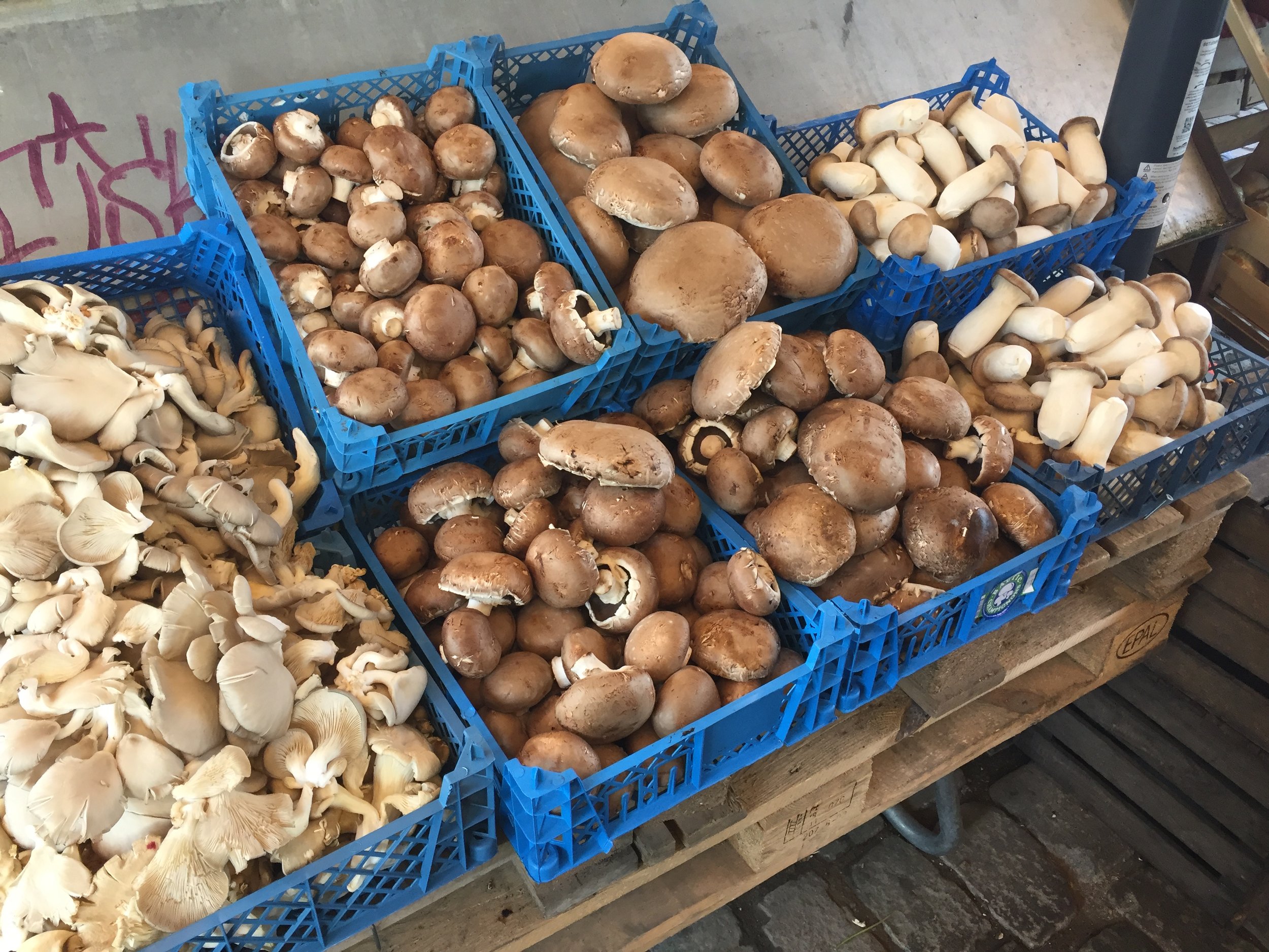 Mushrooms at a market in Copenhagen