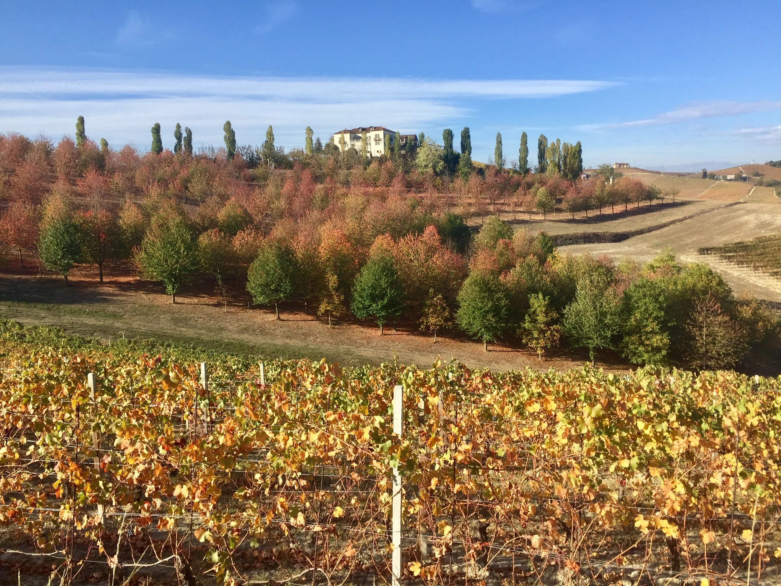 Going on a Wine Walk – Italian Style