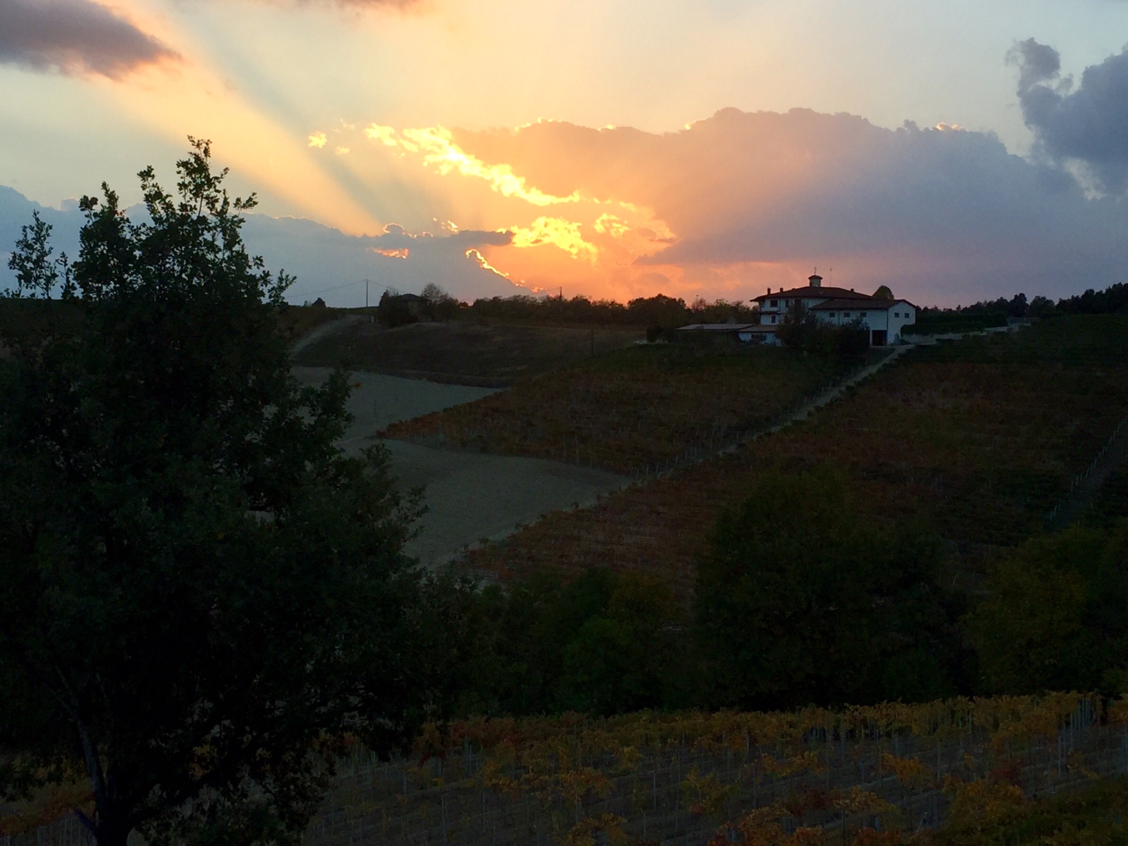 Sunset at the winery