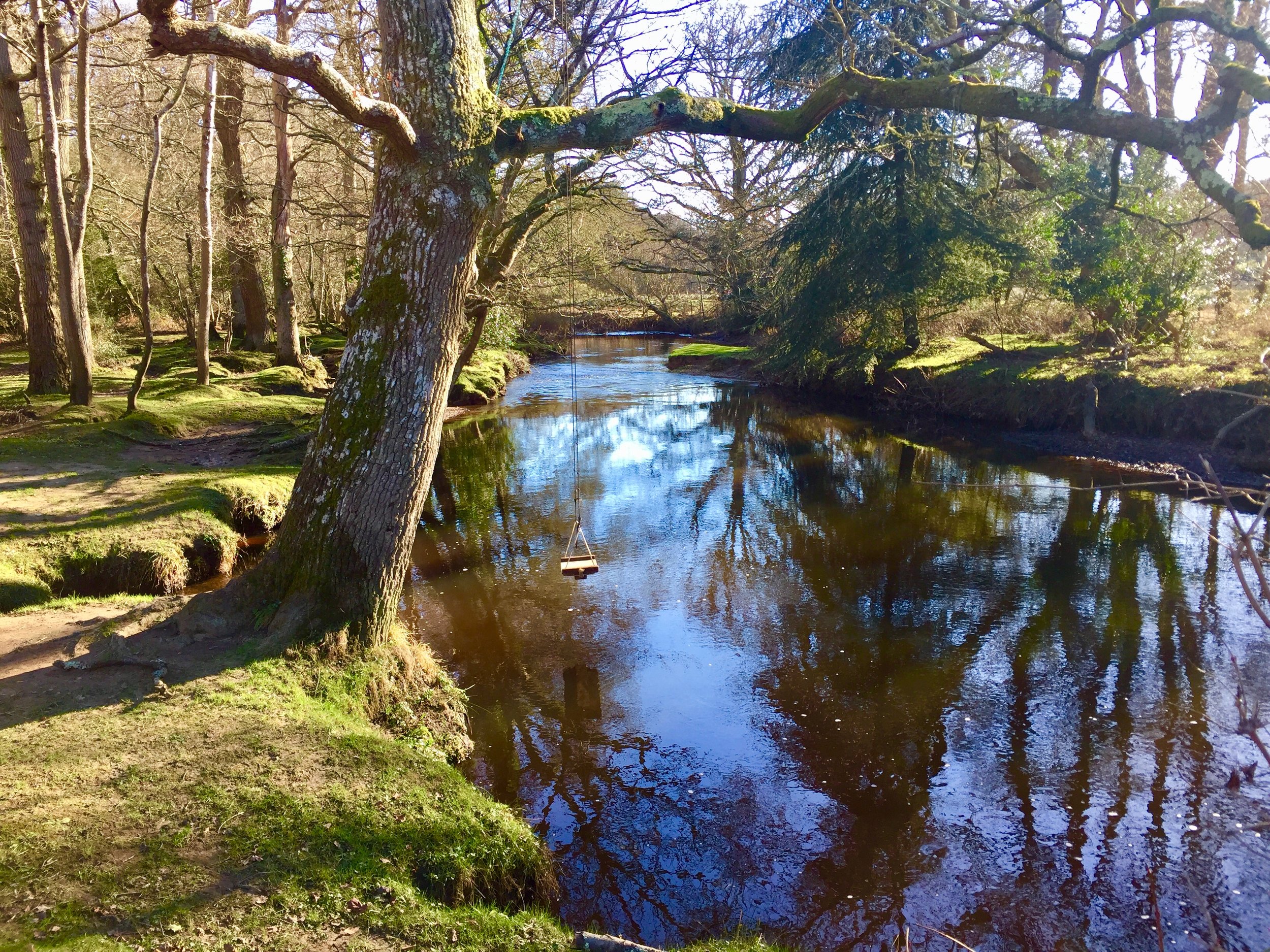 One of the pretty spots on our daily walks