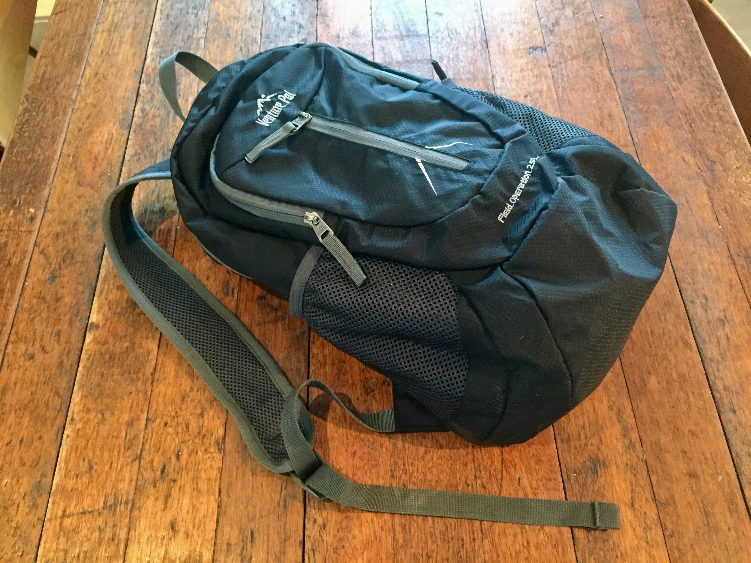 Venture pal lightweight backpack