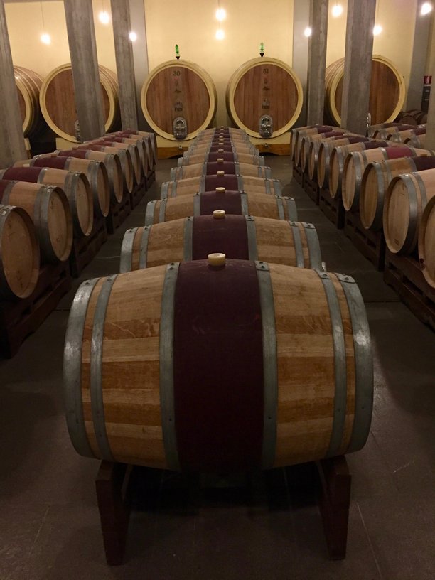 The barrel room at Brunello producer, Altesino