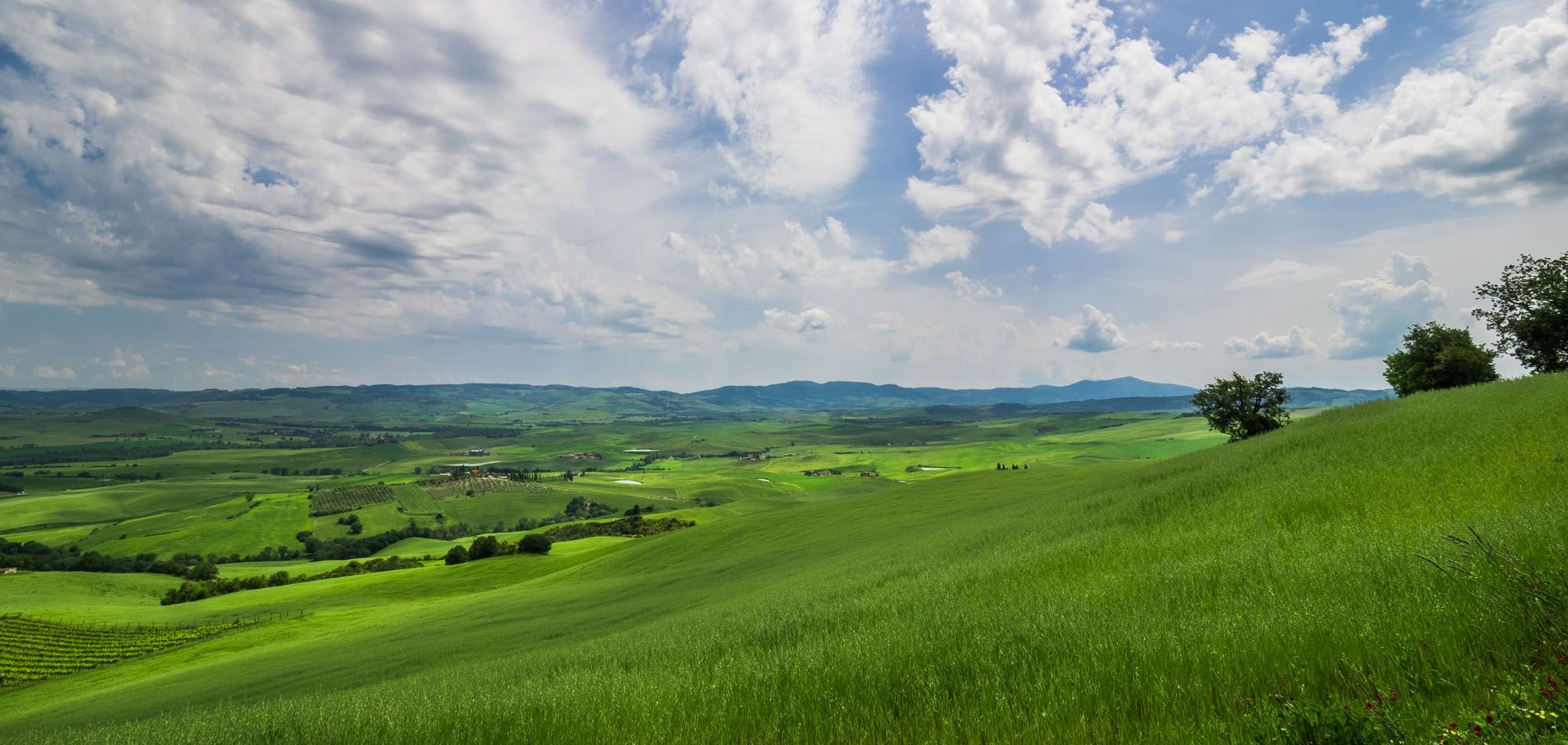 Tuscan hills near Montalcino