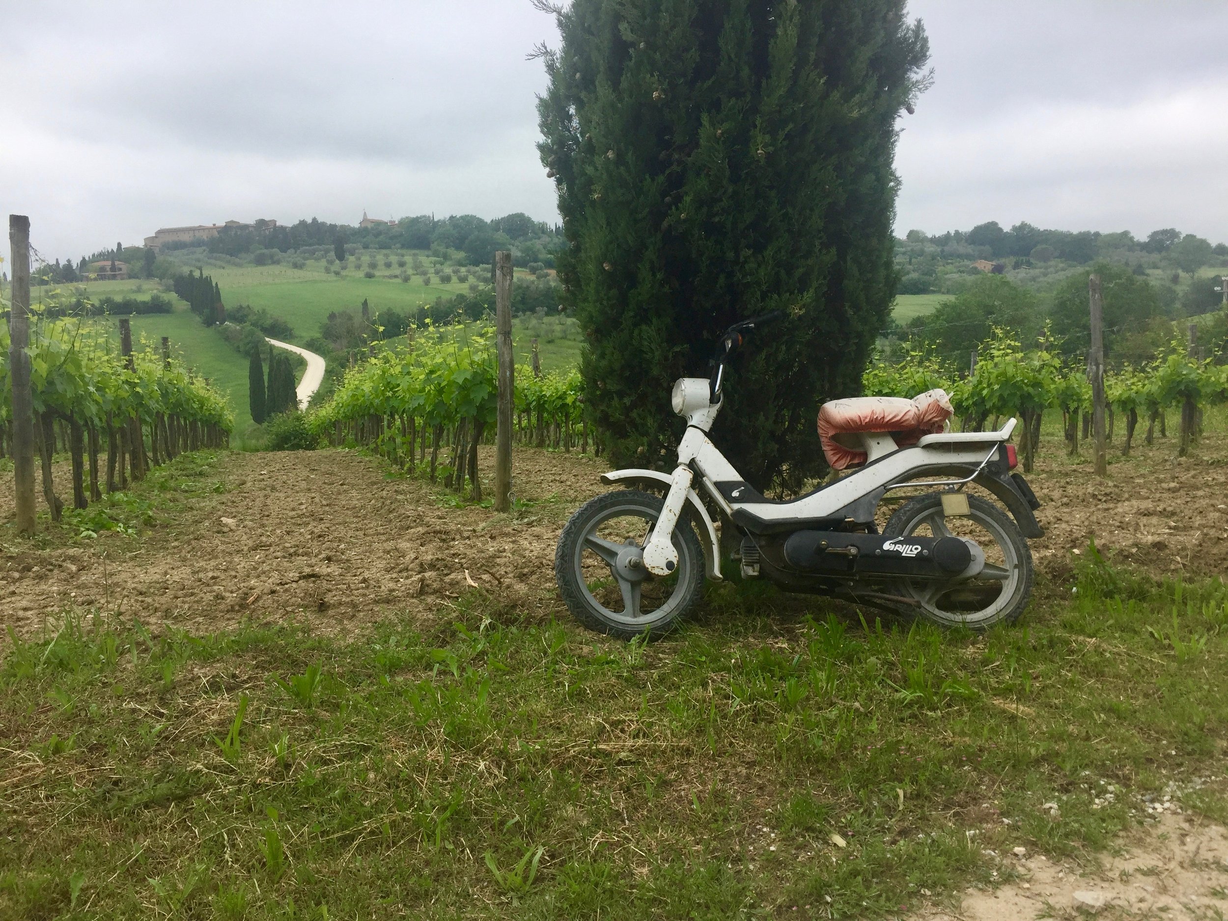 On the hike to Pienza