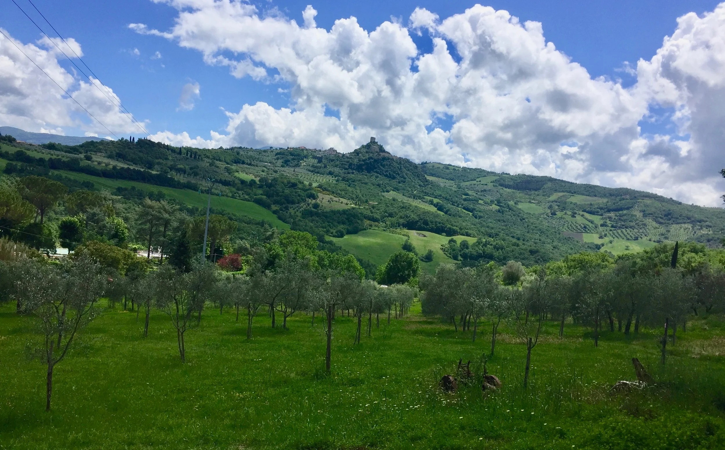 Looking back on Rocca d’Orcia
