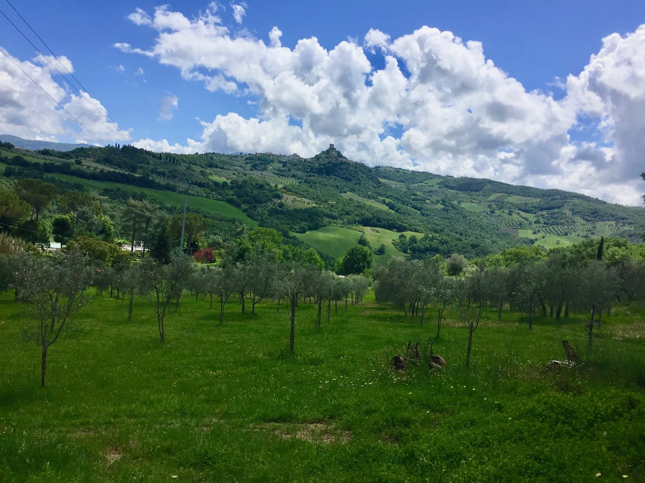 Two Great Hikes in Val d’Orcia, Tuscany