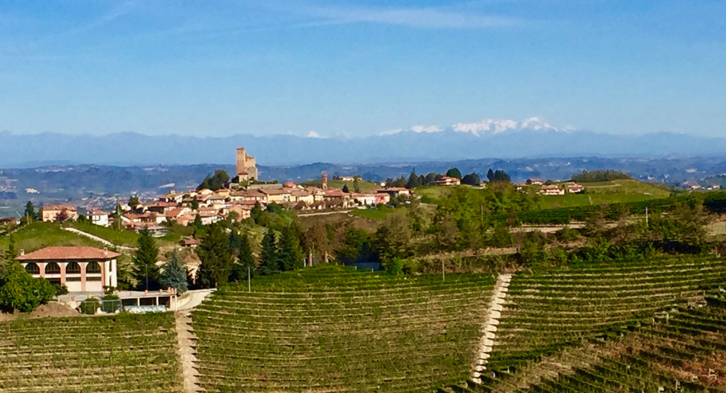 Serralunga d’Alba with the Alps in the background