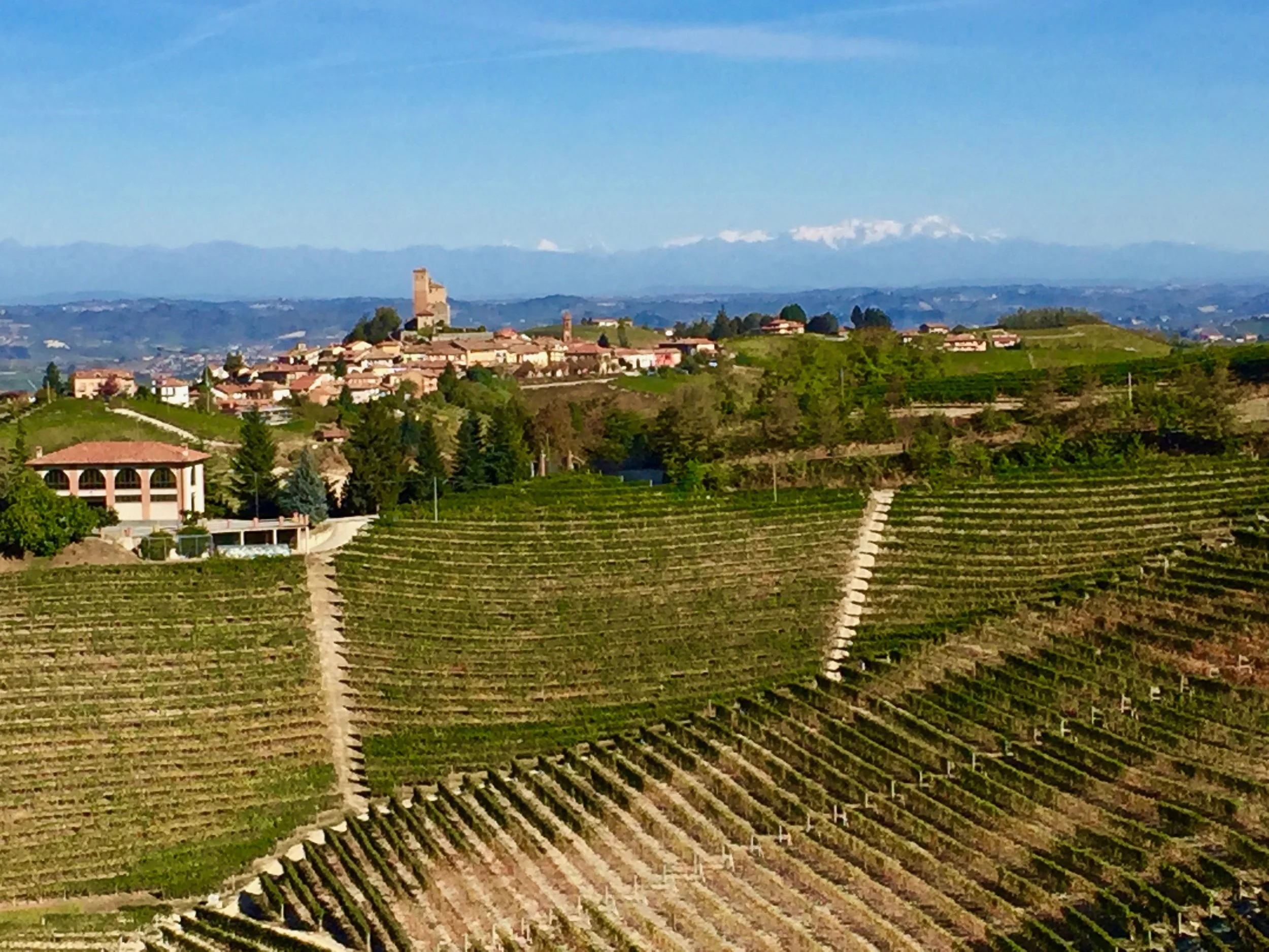 Favorite Restaurants in the Barolo Region