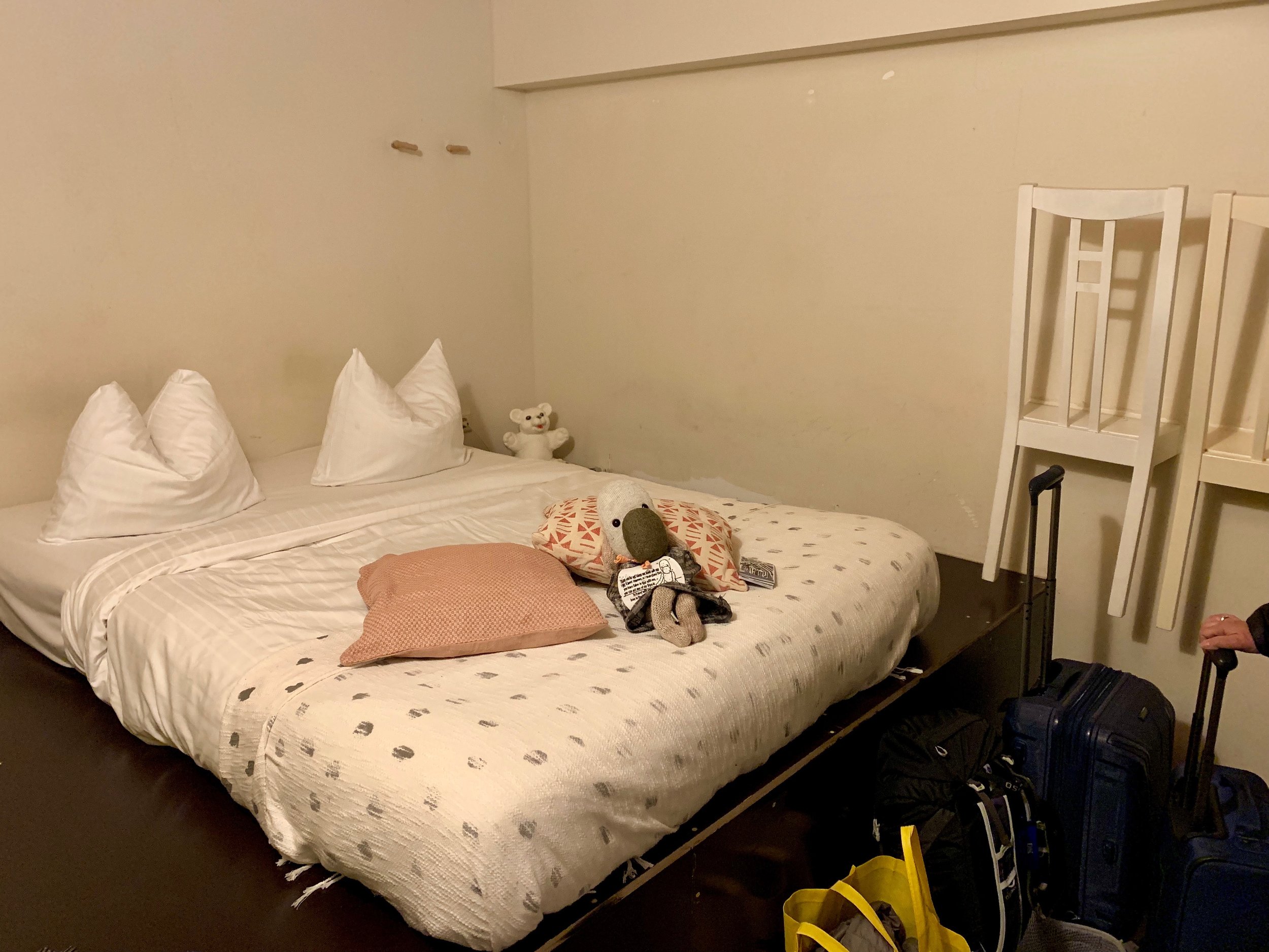Our room at Ecomama Hostel. Bonus, the teddy bear was the bedside lamp!