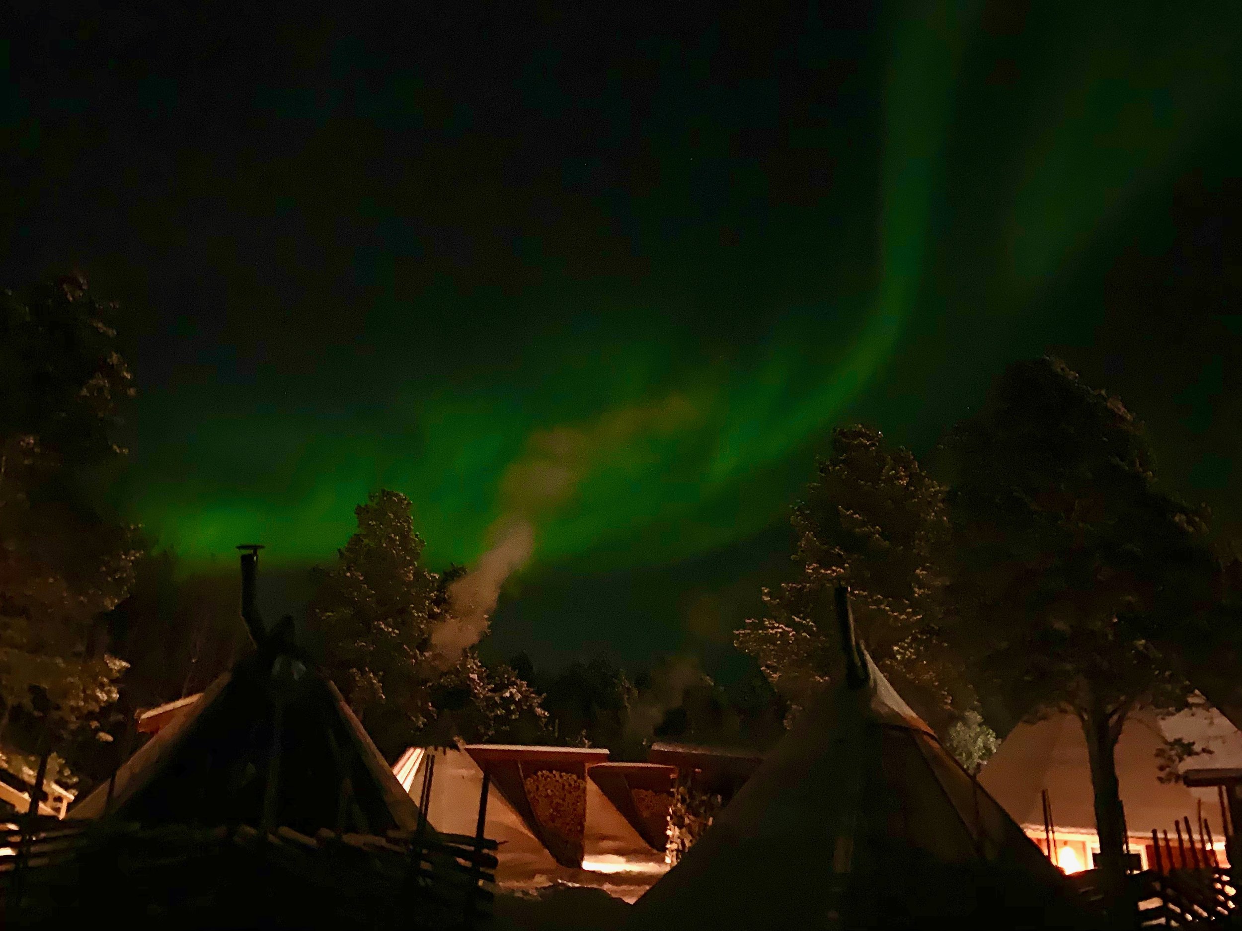 Northern Lights at Holmen Husky Lodge in Alta, Norway
