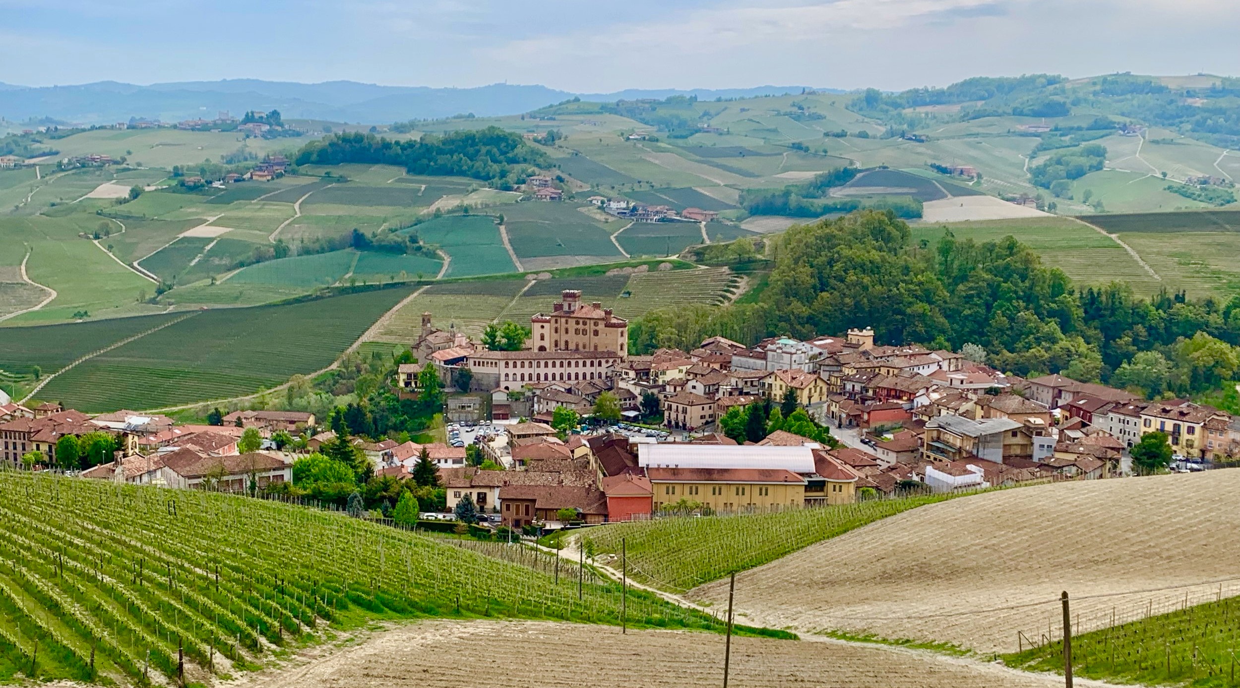 The village of Barolo with some of the famous Cannubi Cru vineyards