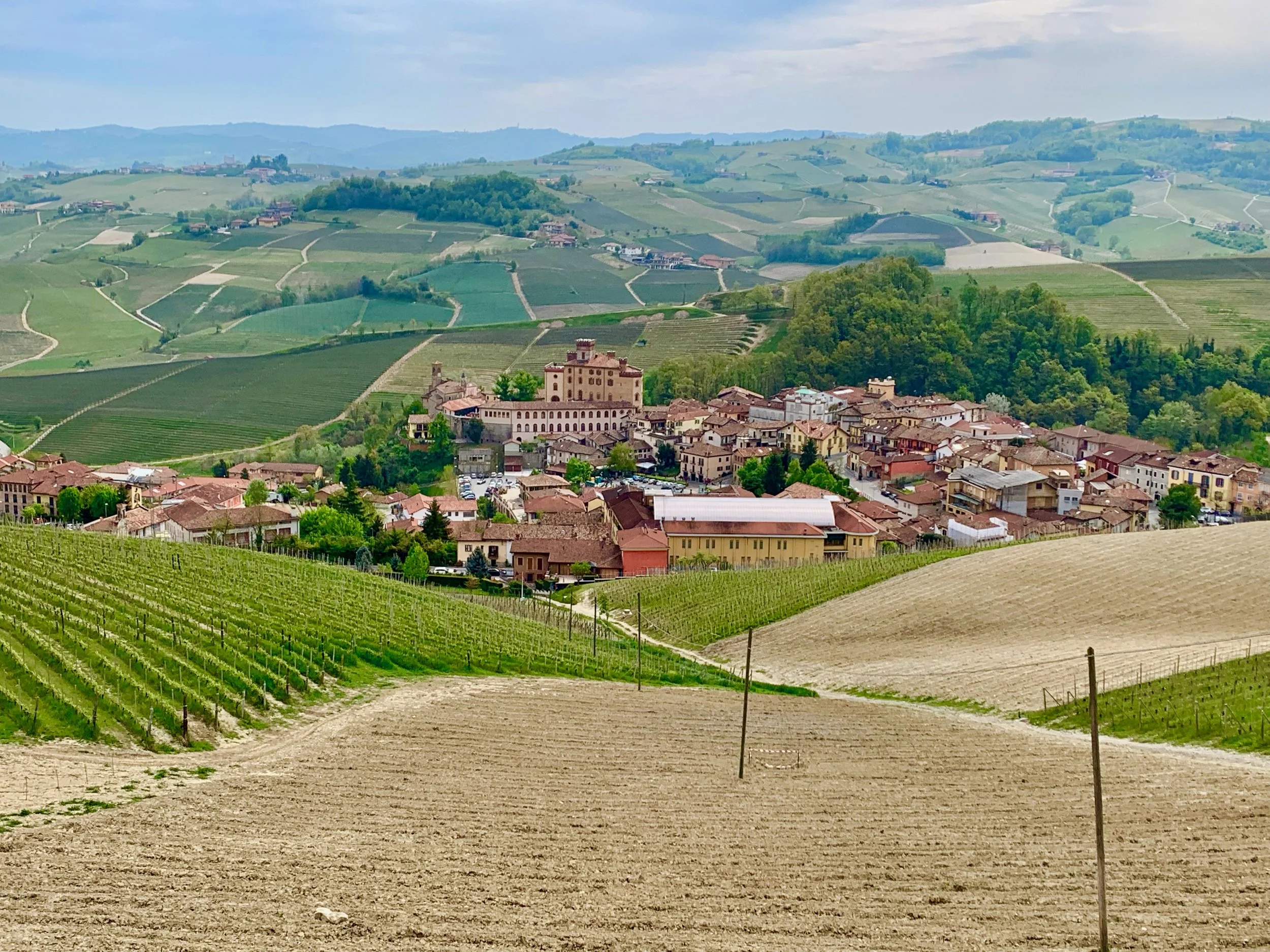 An Insider’s Short List of Favorite Barolo Wines