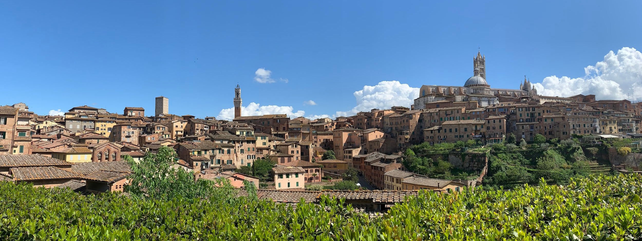 Siena, Italy is a beautiful spot for Italian classes