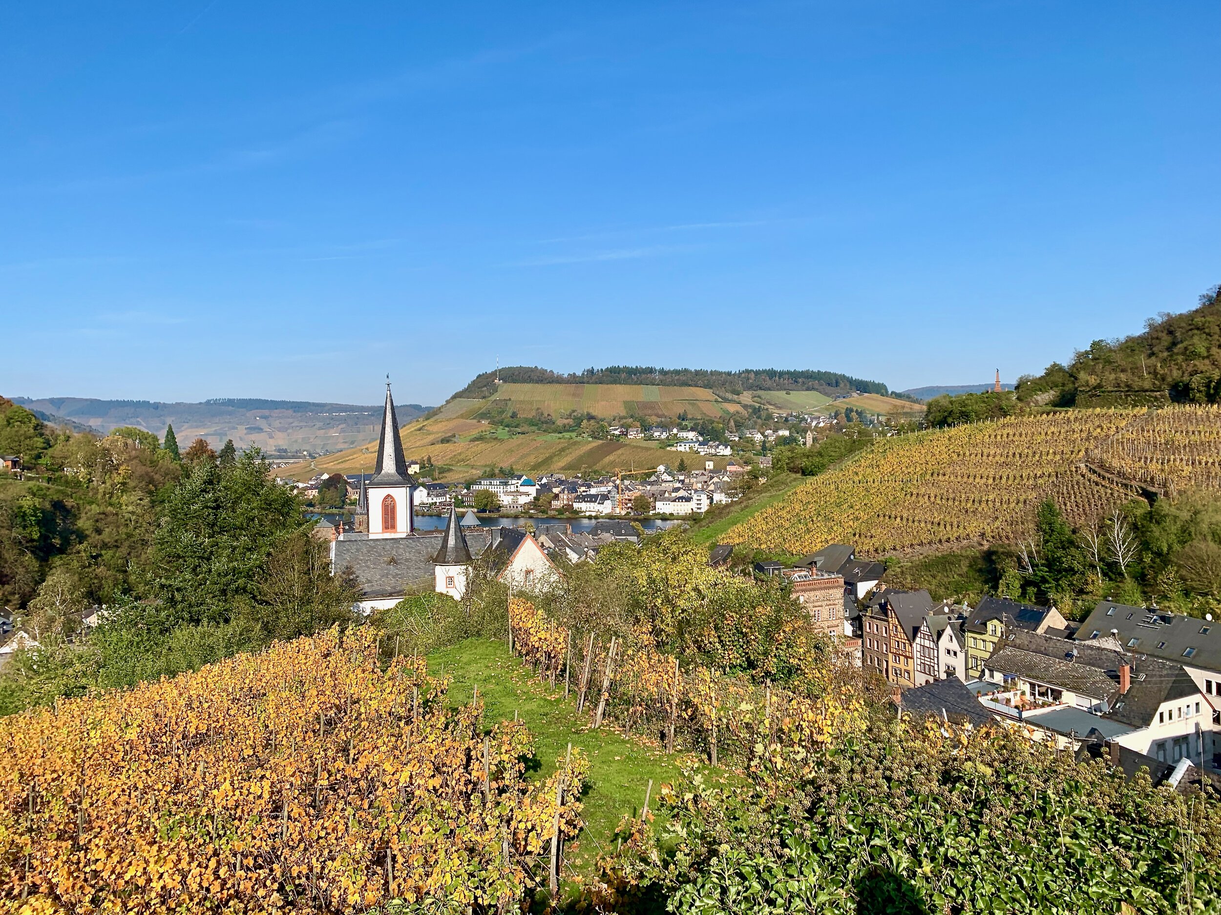 Take It Easy In Germany S Marvelous Mosel Valley Euro Travel Coach