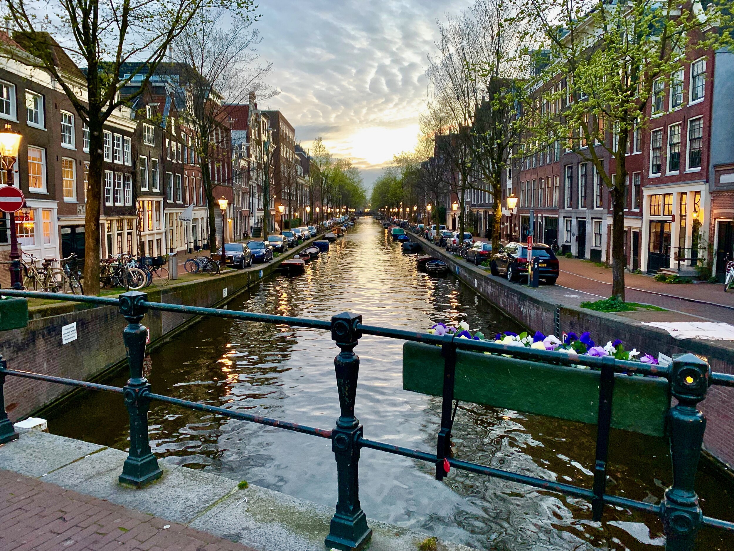 The idyllic canals of Amsterdam