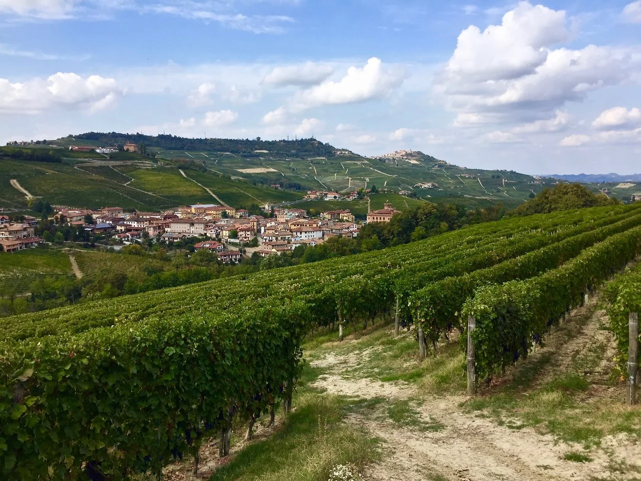 Comparing Barolo and Barbaresco Wines