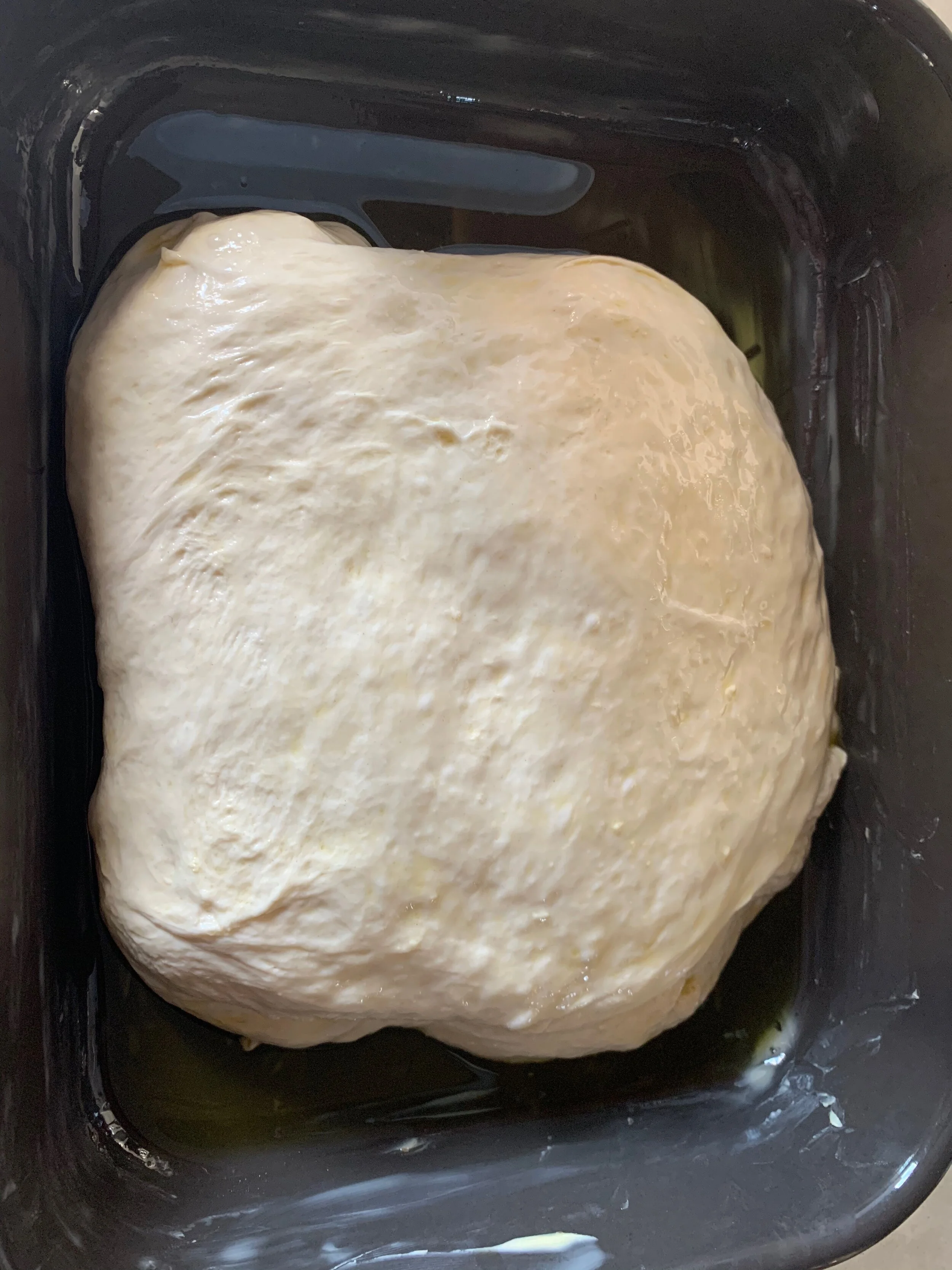 Focaccia before 2nd rise