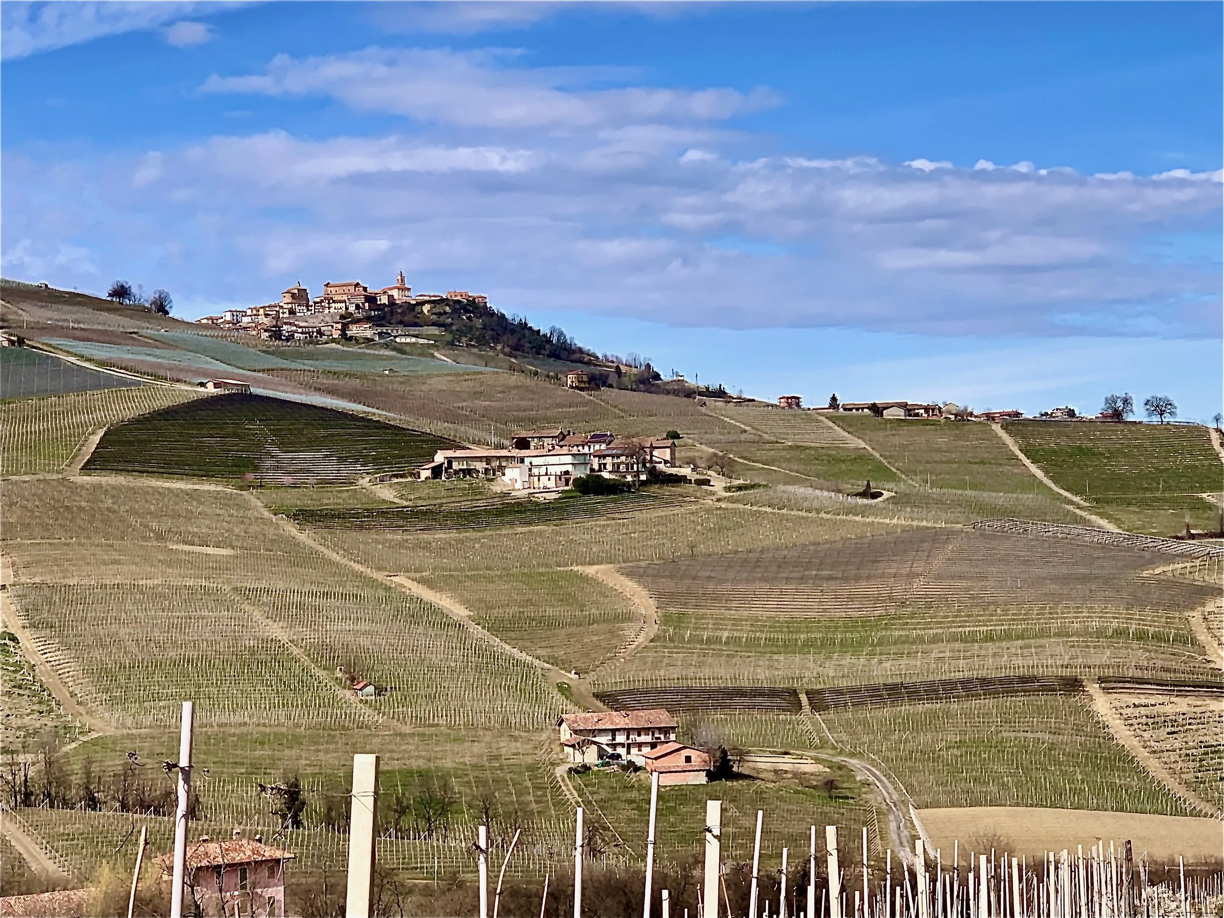 Hiking the vineyards in Barolo in March just before the pandemic forced us home