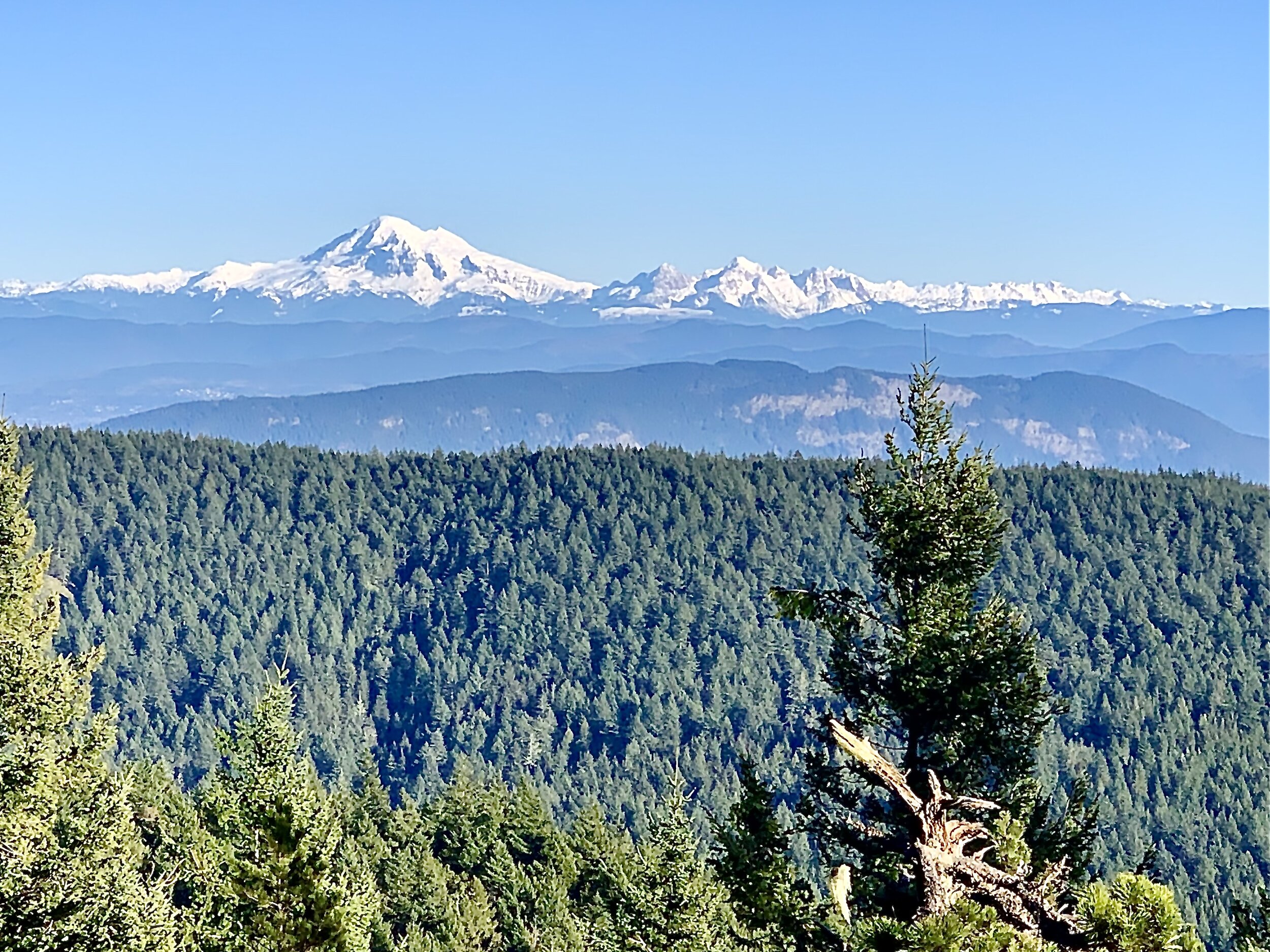 Mount Baker from the top of Orcas Island