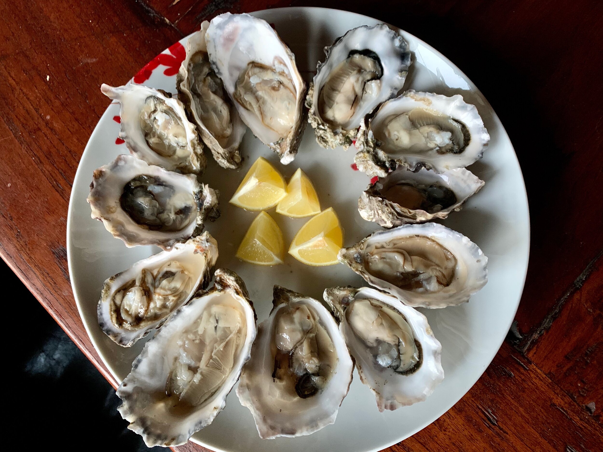 Local oysters