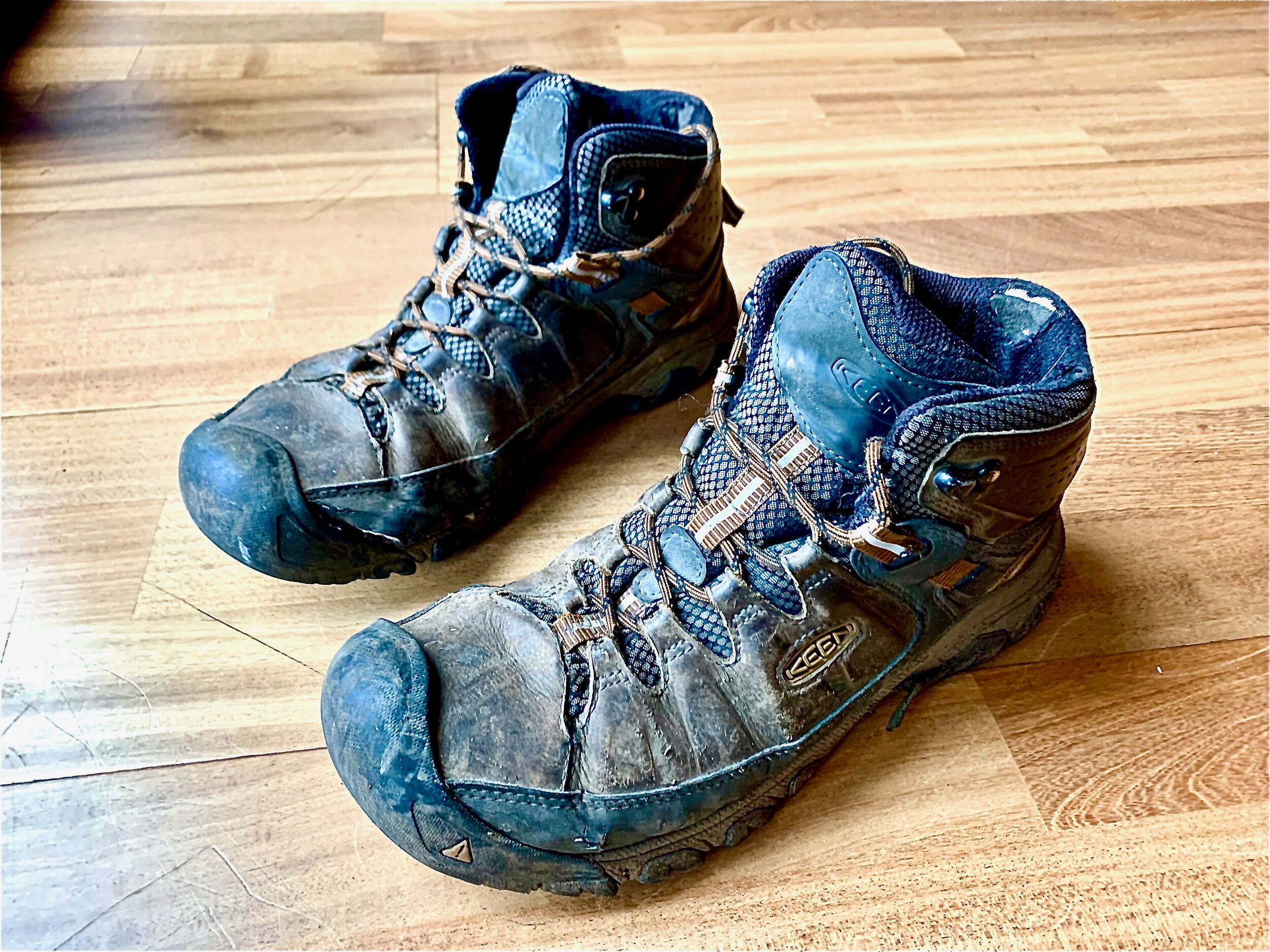 Keen Targhee III Hiking Shoe Review