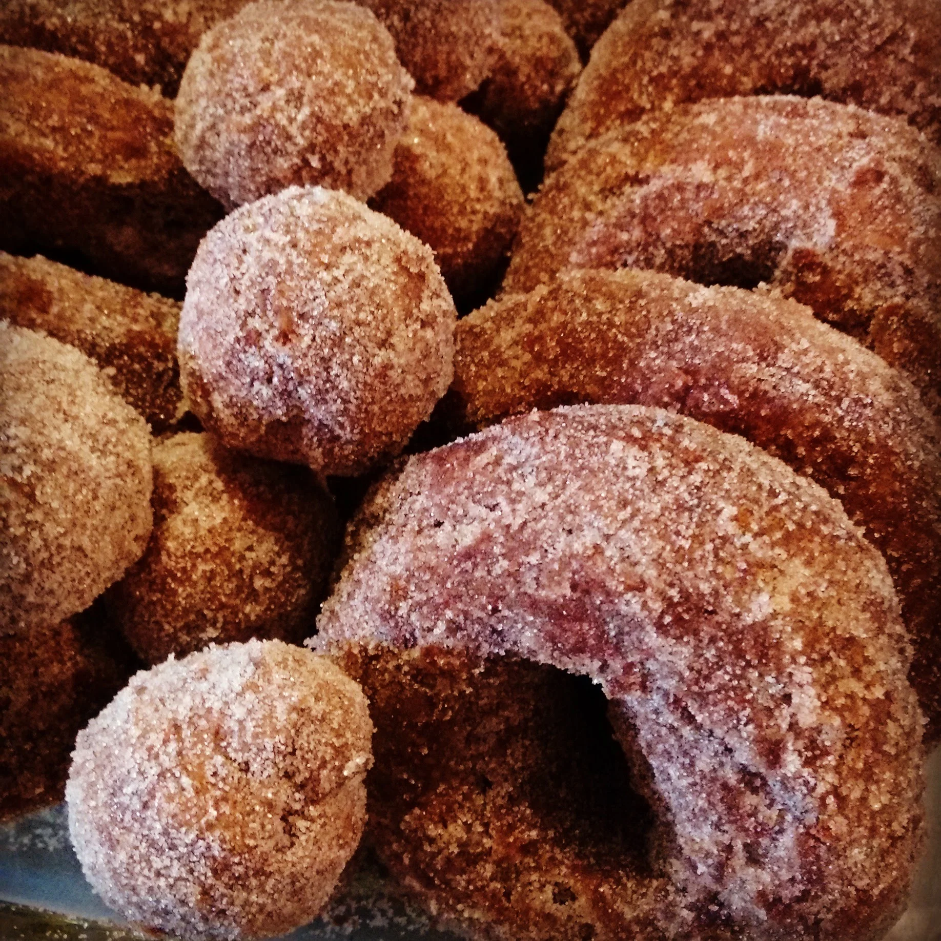 AppleCiderDonuts.jpg