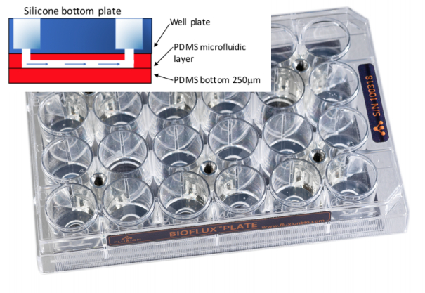 24 well PDMS.jpg