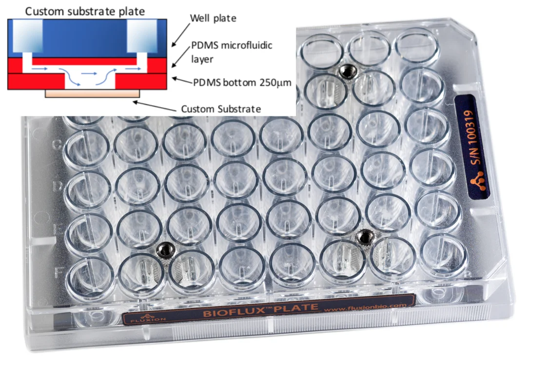 Custom substrate plate.jpg