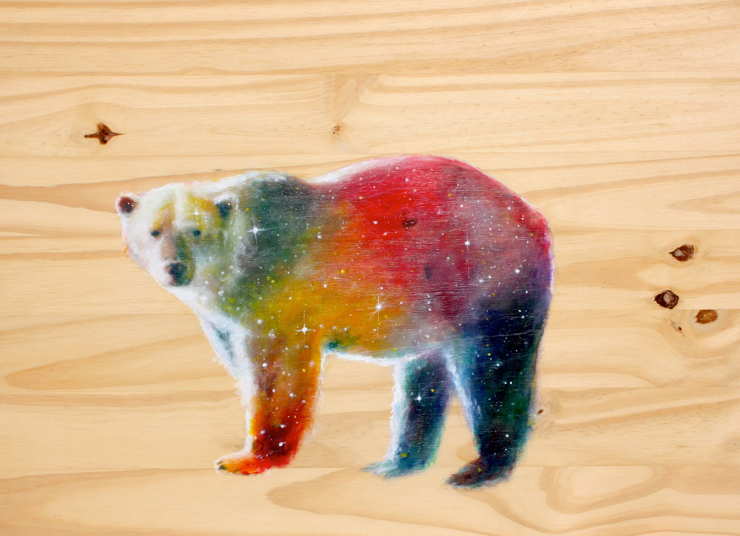Cosmic Bear