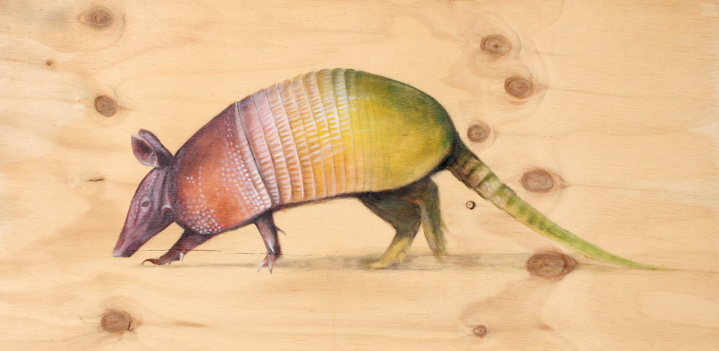 Armadillo